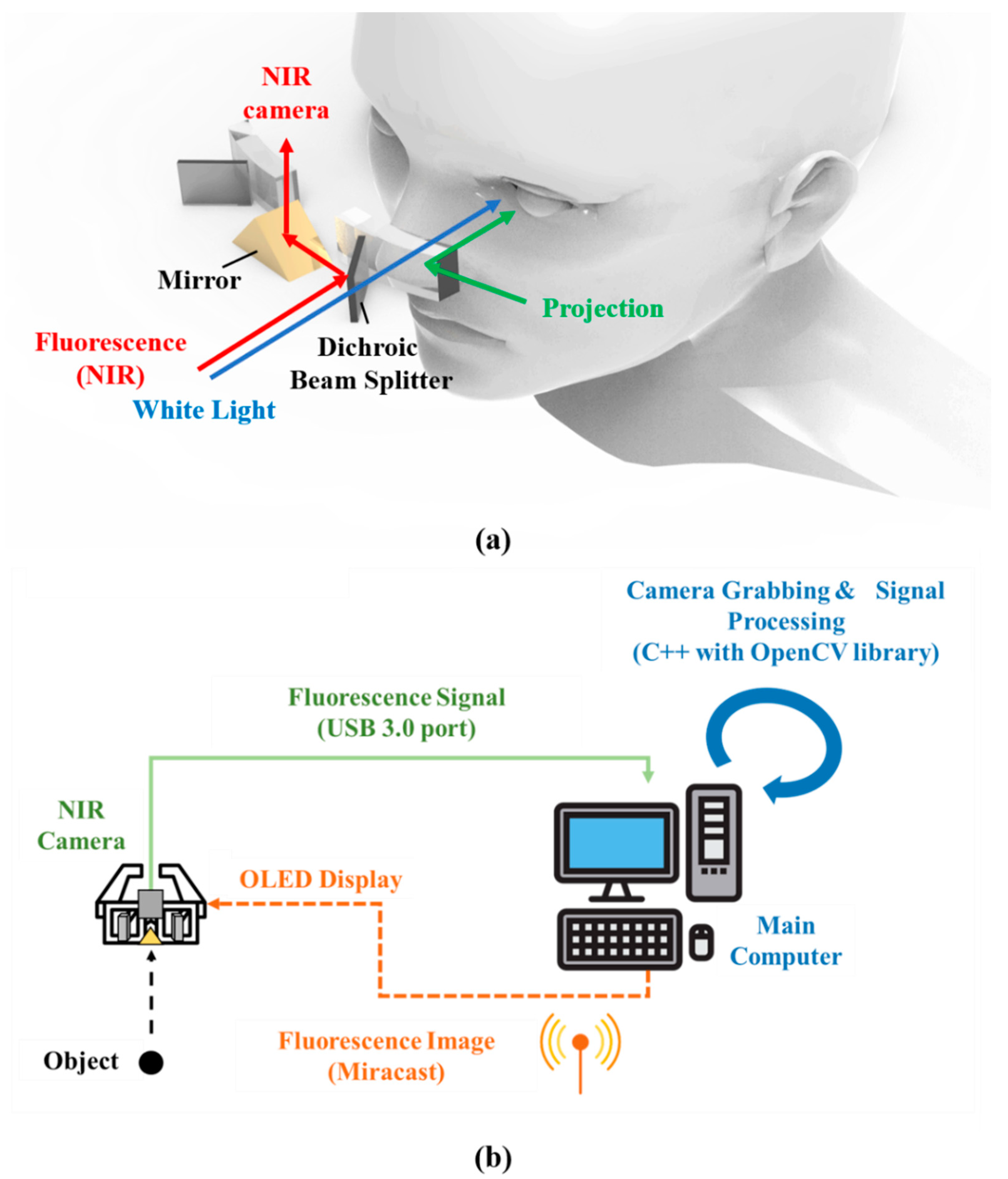 Diagnostics 11 00927 g002