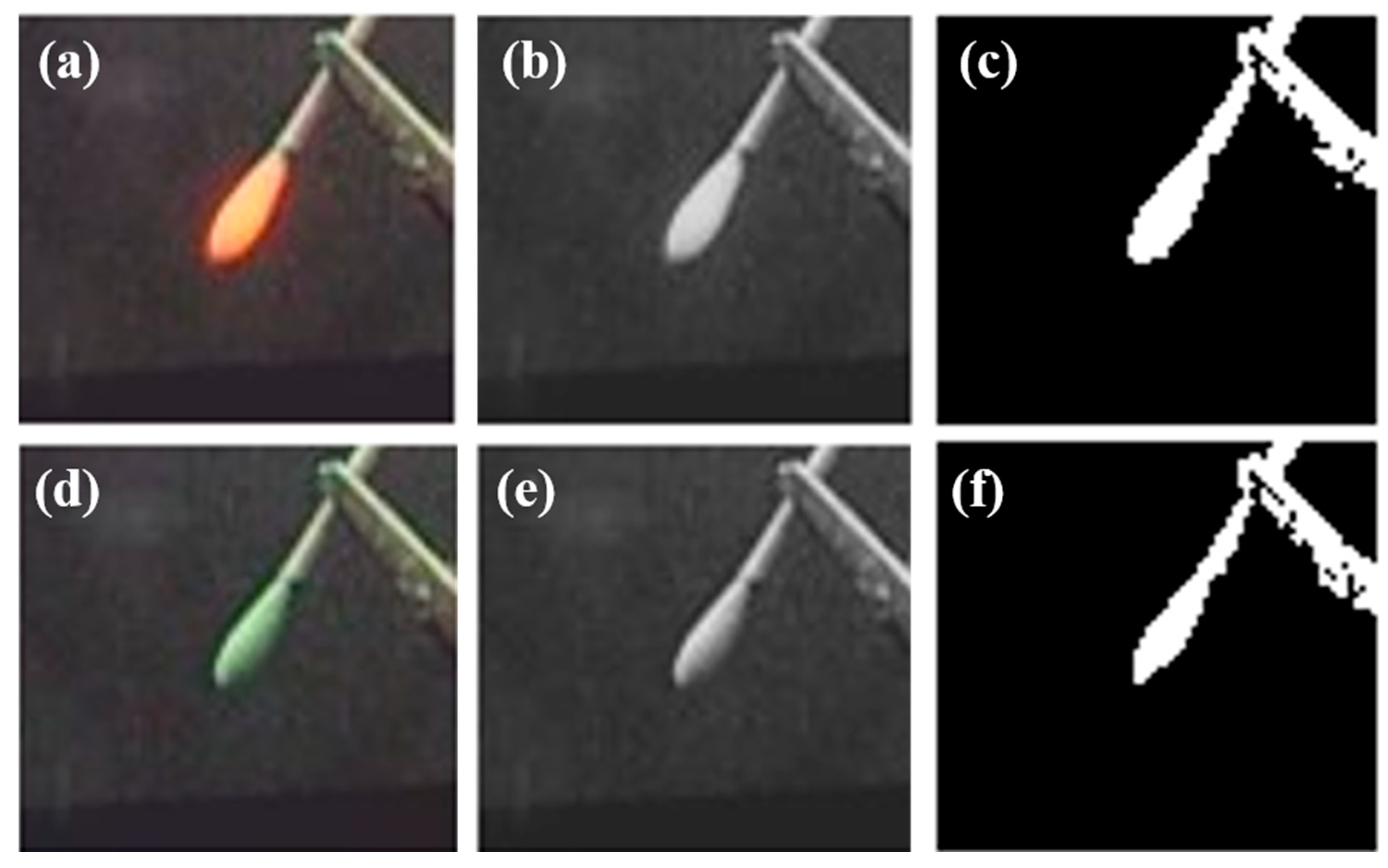 Diagnostics 11 00927 g004