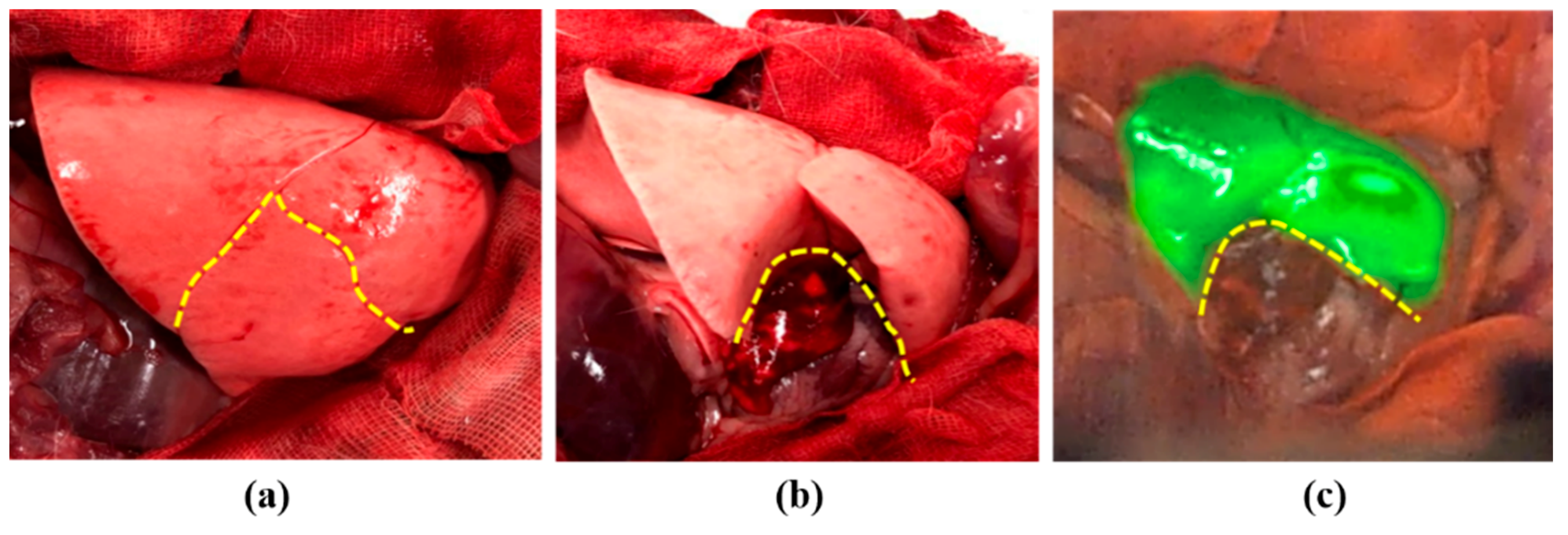 Diagnostics 11 00927 g007