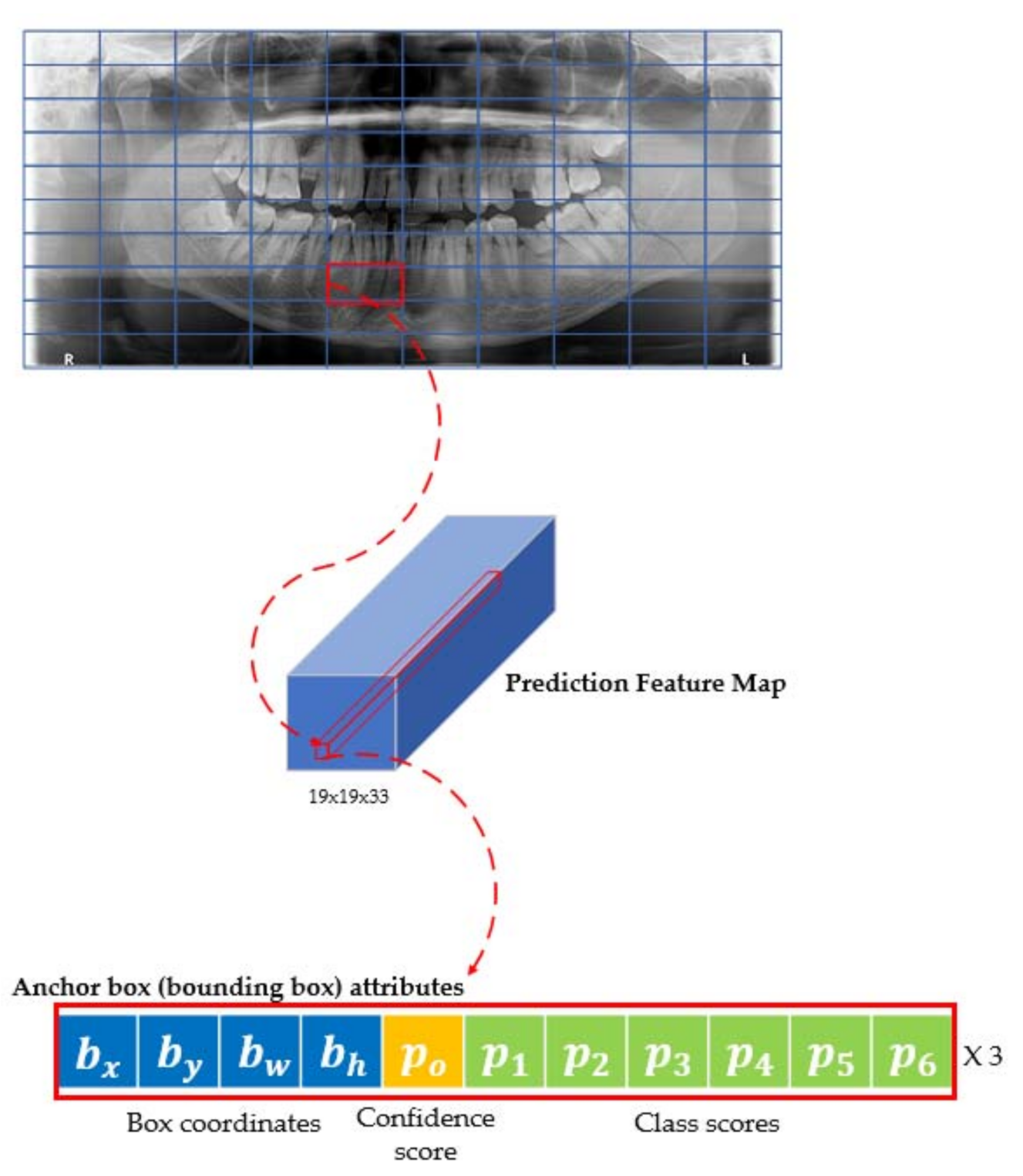 Diagnostics 11 00933 g004 Diagnostics 11 00933 g004