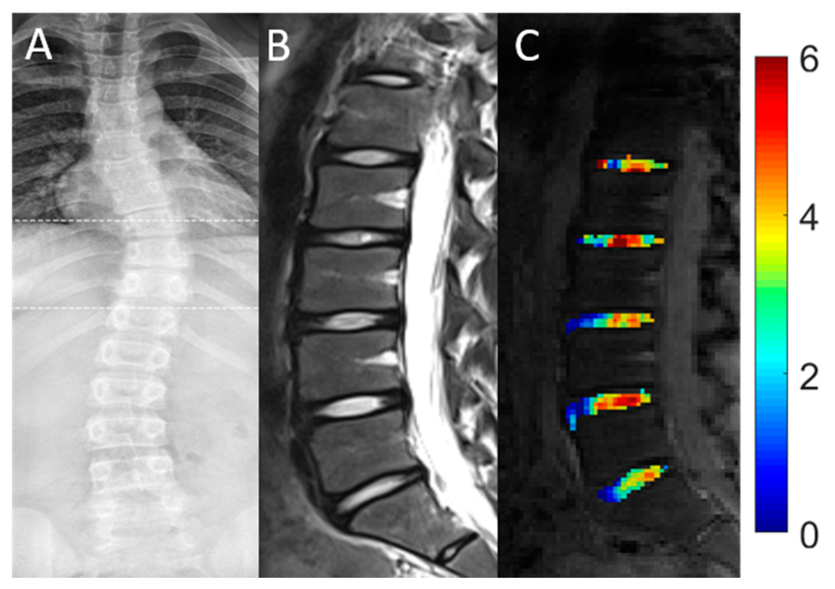 Diagnostics 11 00934 g002