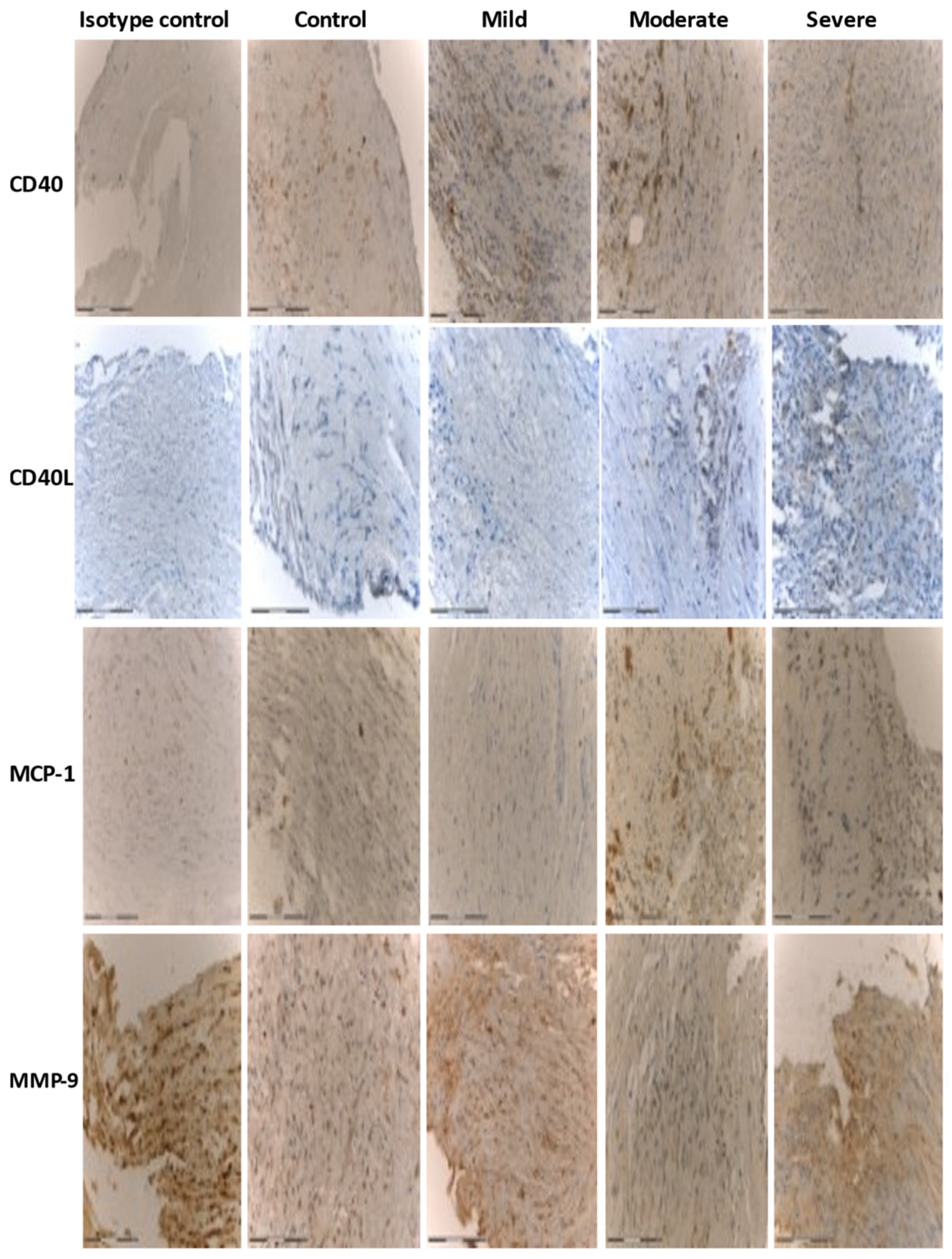 Diagnostics 11 00935 g001