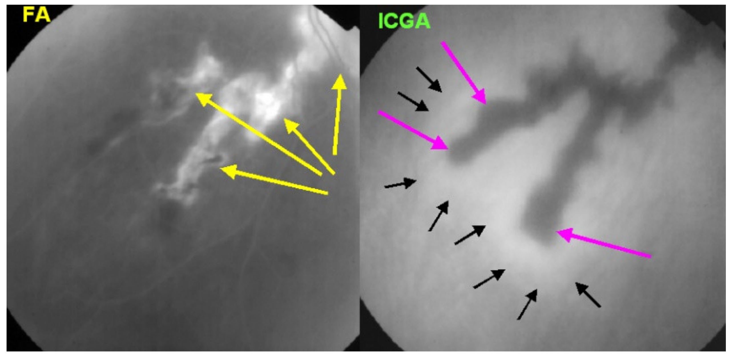 Diagnostics 11 00939 g024