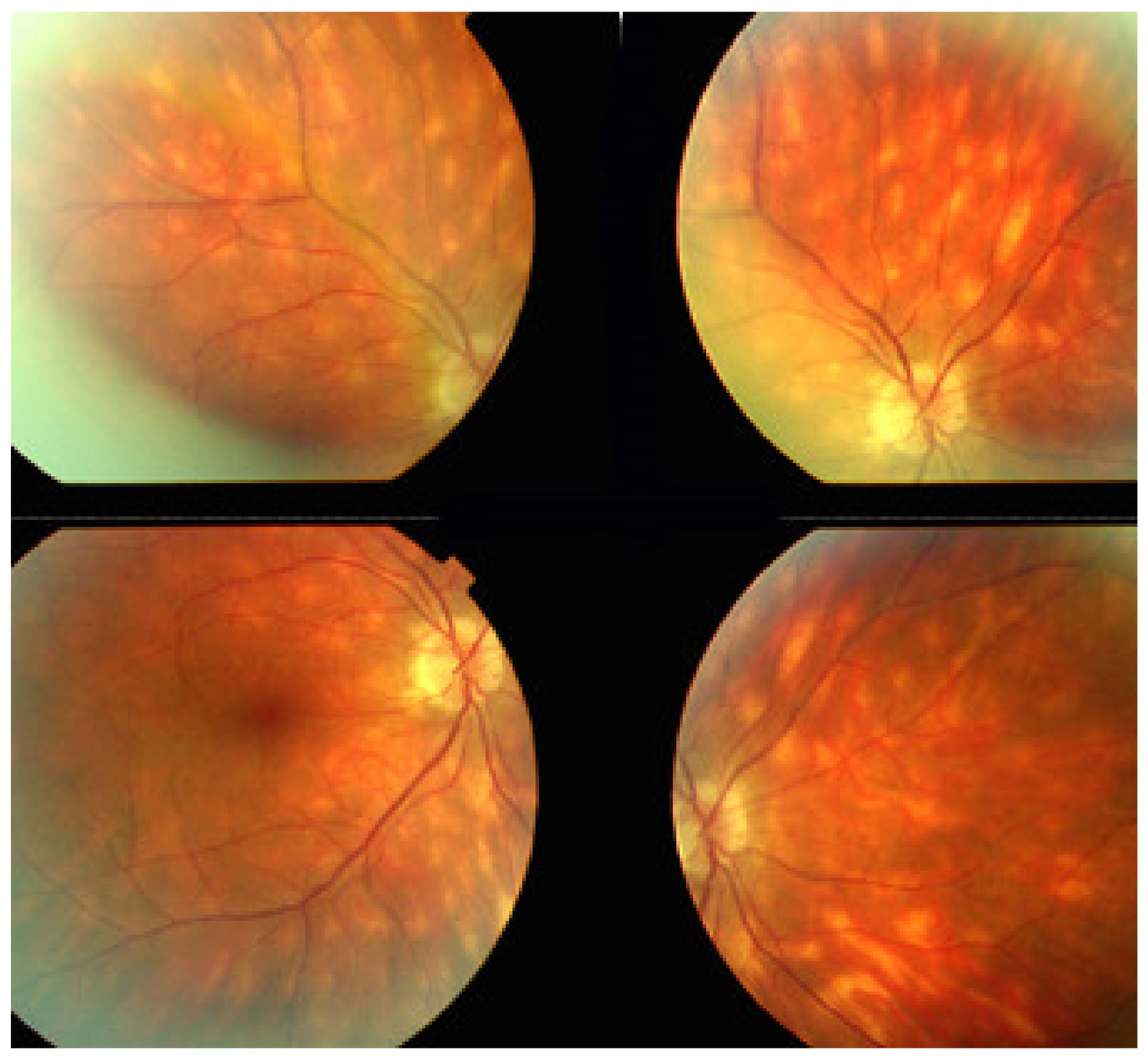 Diagnostics 11 00939 g040