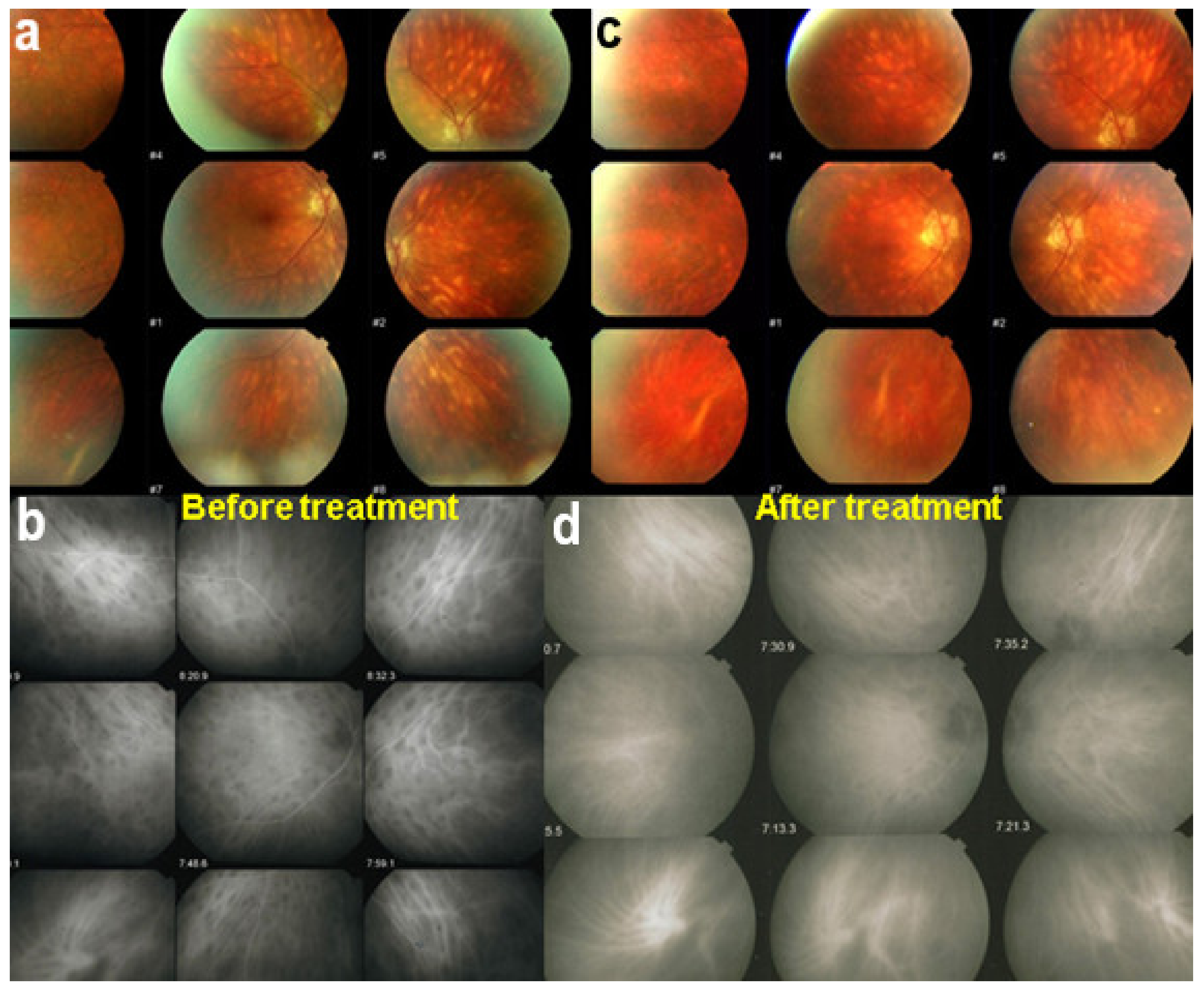 Diagnostics 11 00939 g046