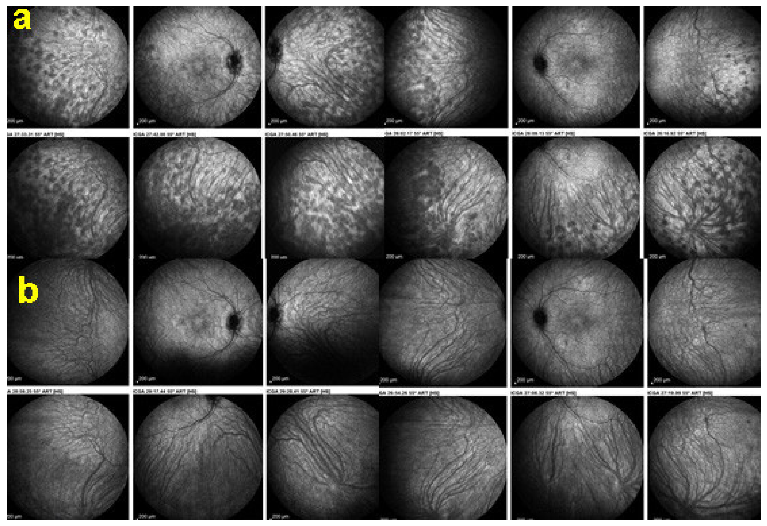 Diagnostics 11 00939 g049