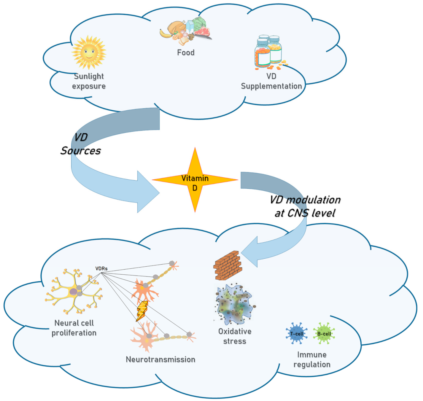 Diagnostics 11 00940 g002 Diagnostics 11 00940 g002