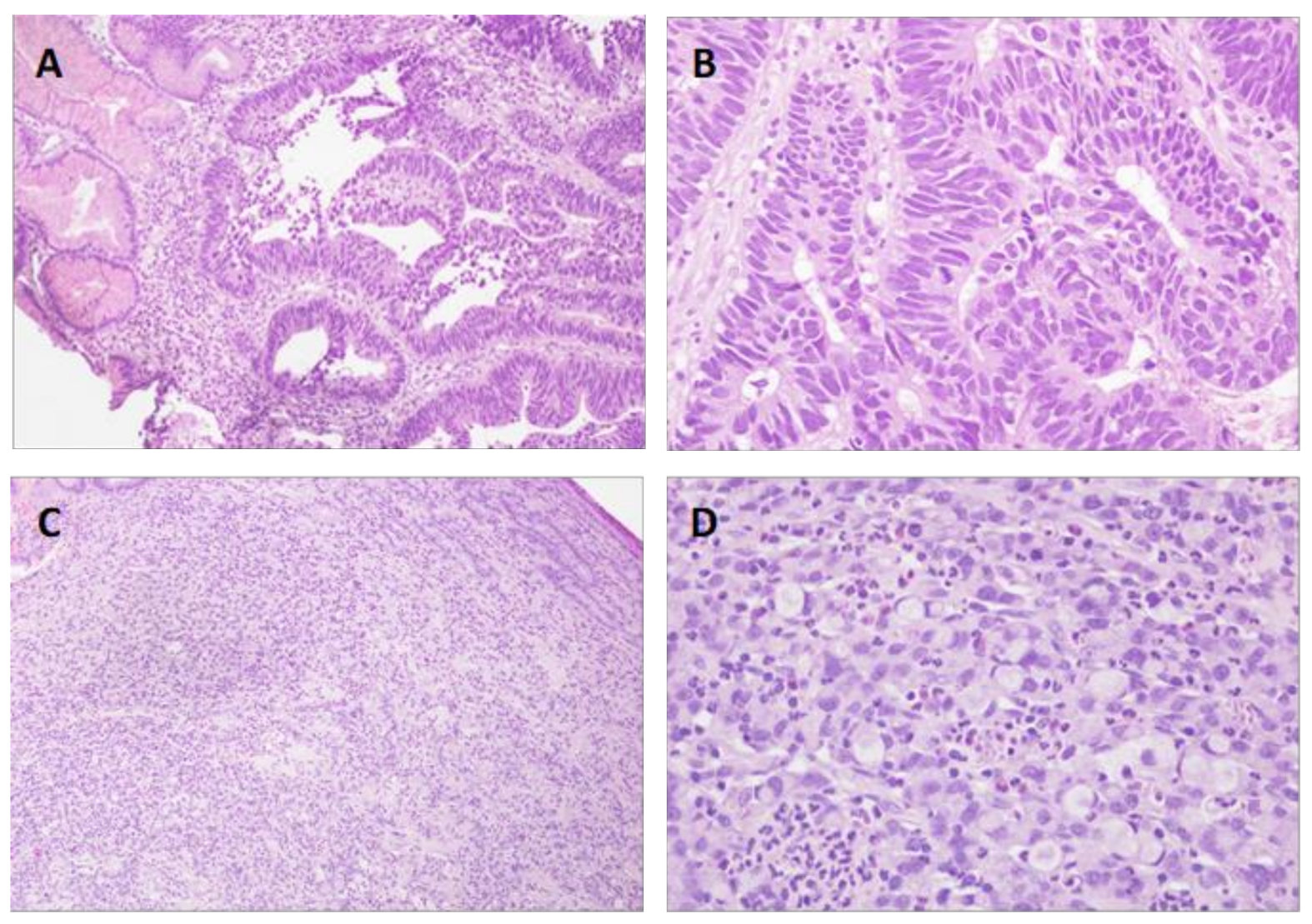 Diagnostics 11 00944 g001 Diagnostics 11 00944 g001