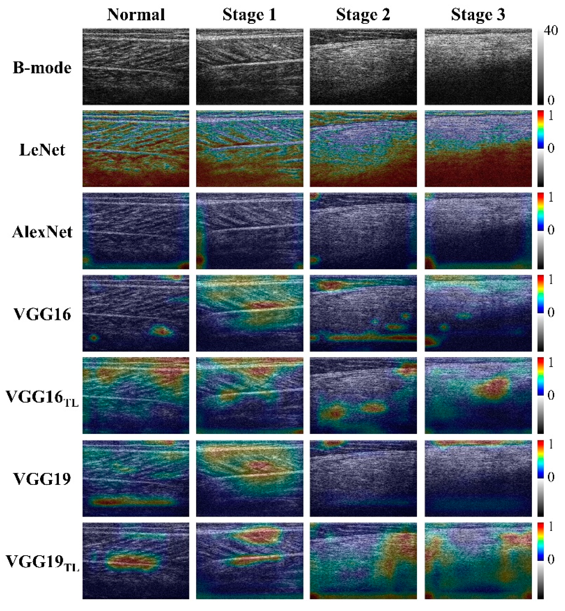 Diagnostics 11 00963 g002