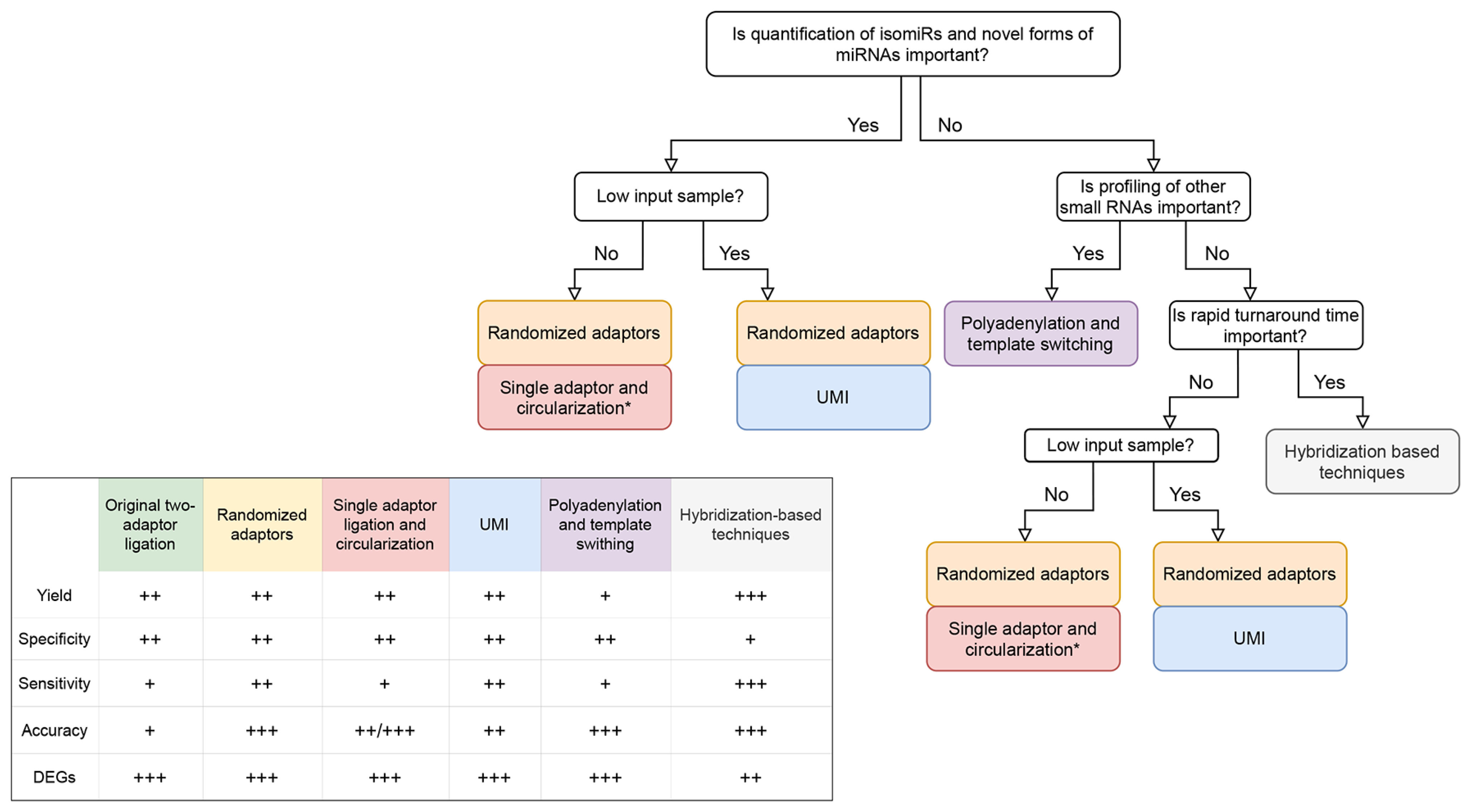Diagnostics 11 00964 g004