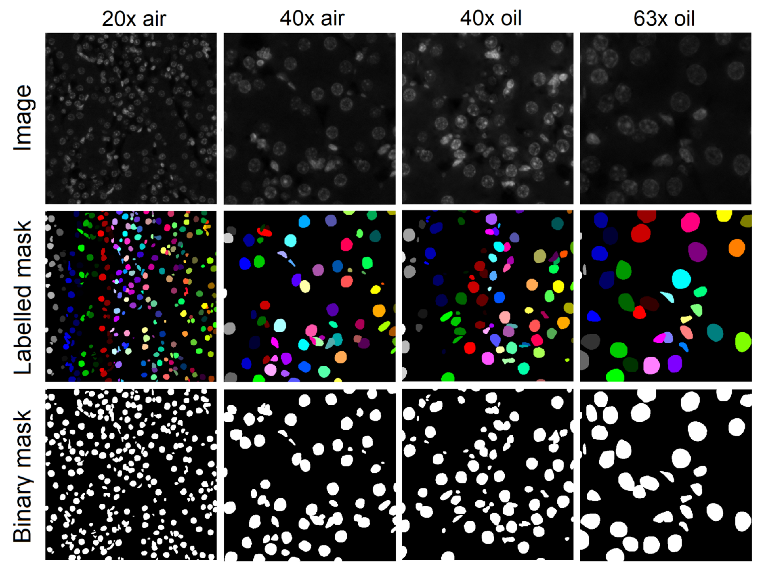 Diagnostics 11 00967 g001