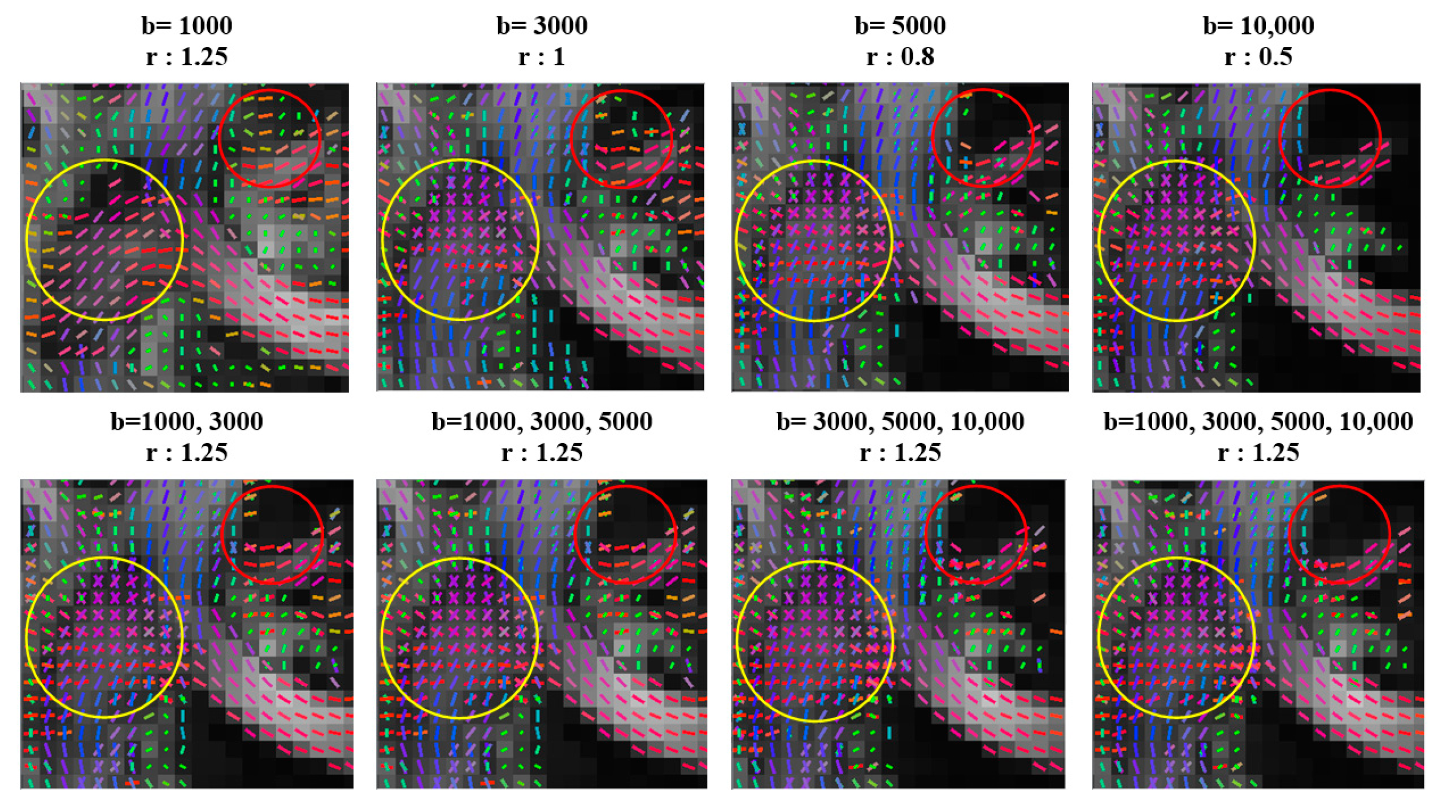 Diagnostics 11 00970 g002 Diagnostics 11 00970 g002