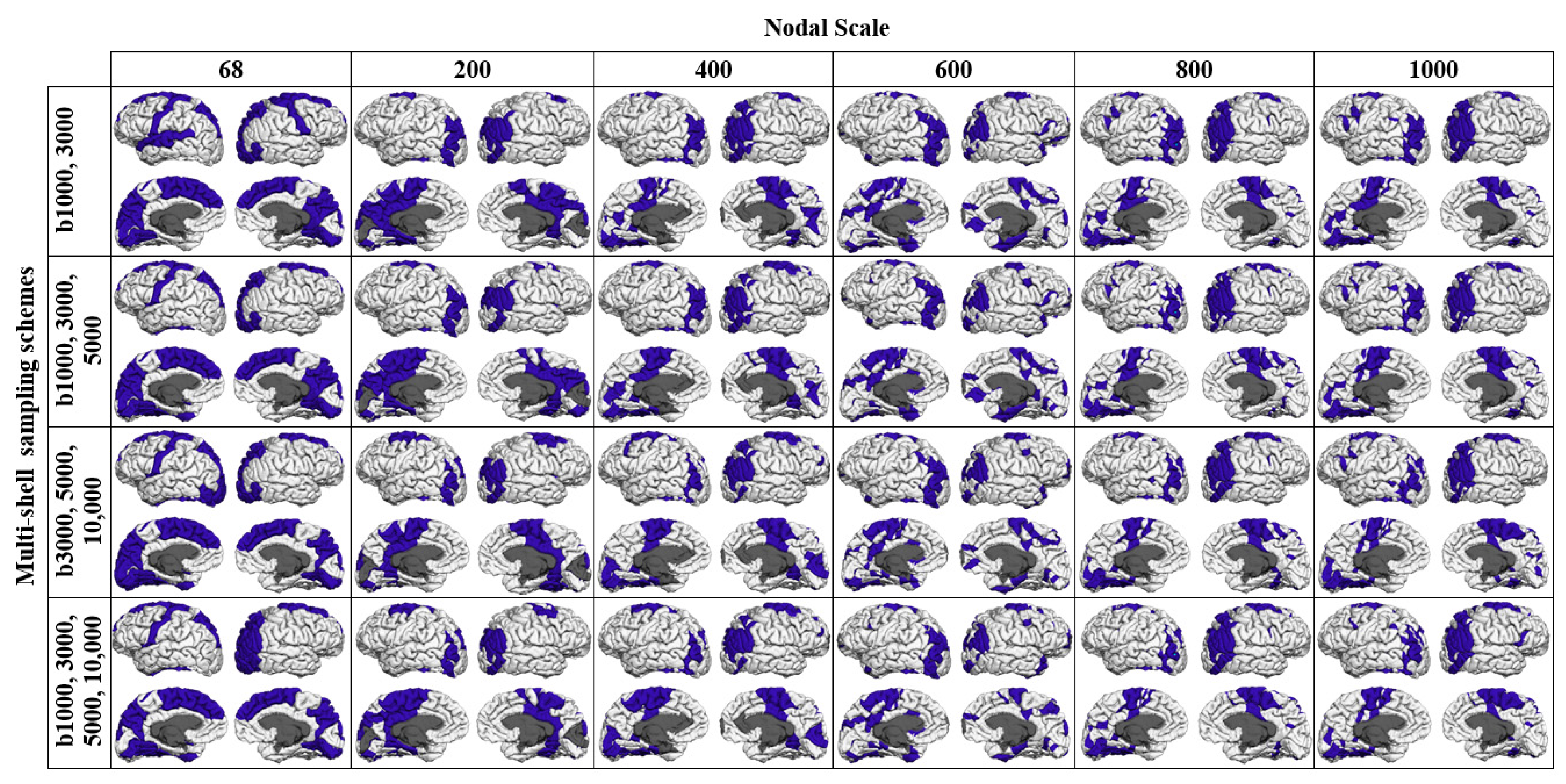 Diagnostics 11 00970 g009 Diagnostics 11 00970 g009