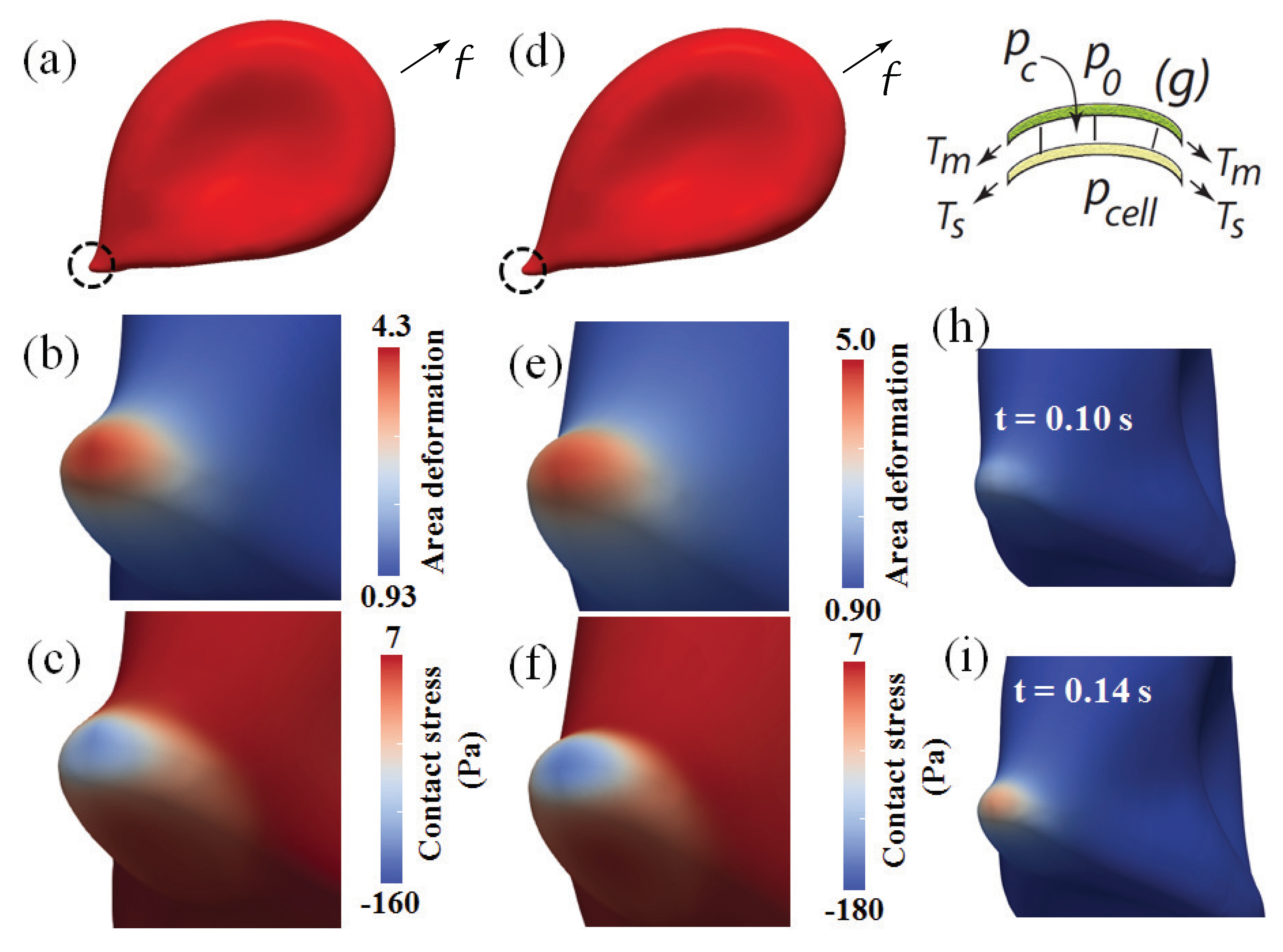 Diagnostics 11 00971 g003 Diagnostics 11 00971 g003