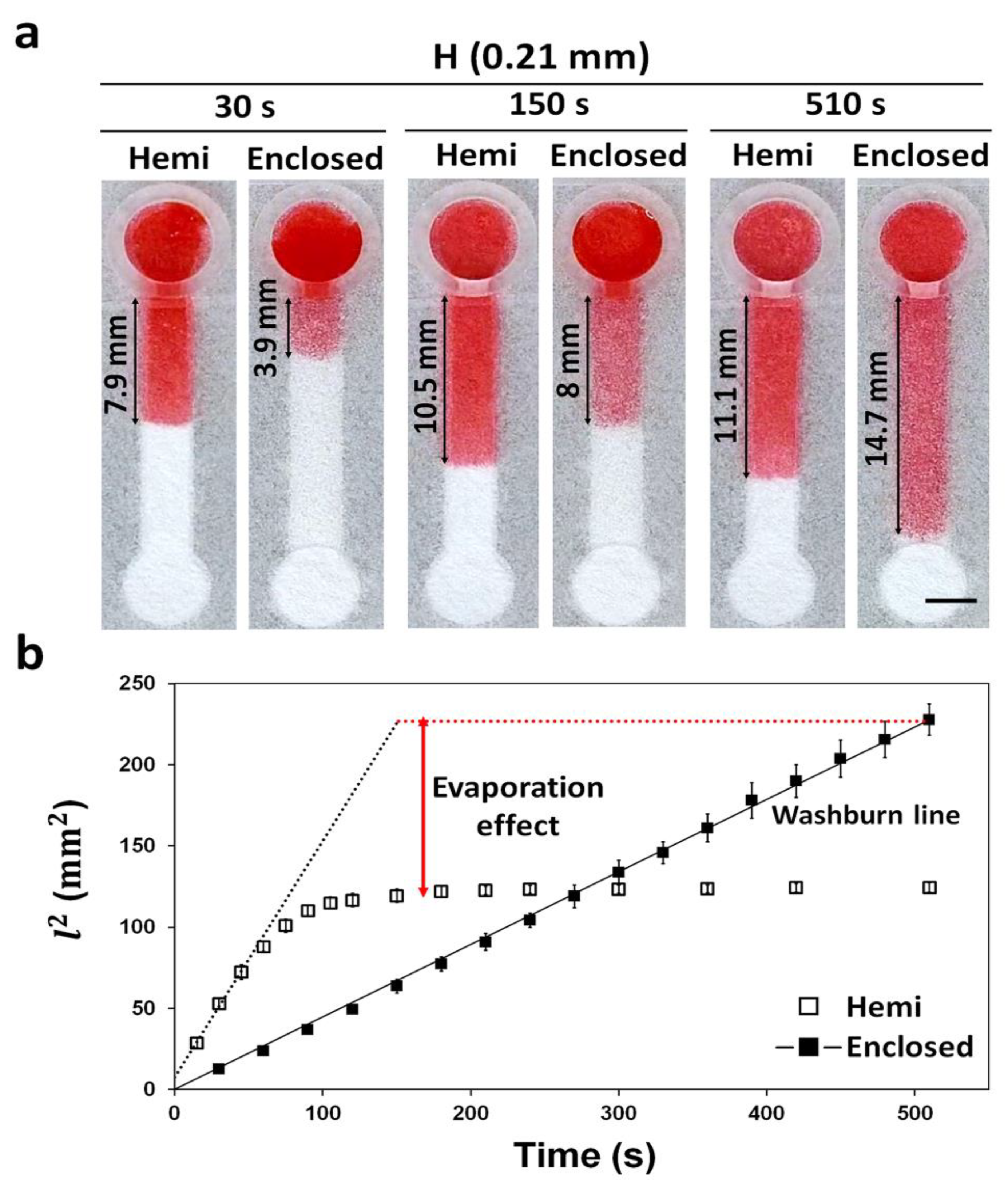 Diagnostics 11 00977 g005 Diagnostics 11 00977 g005