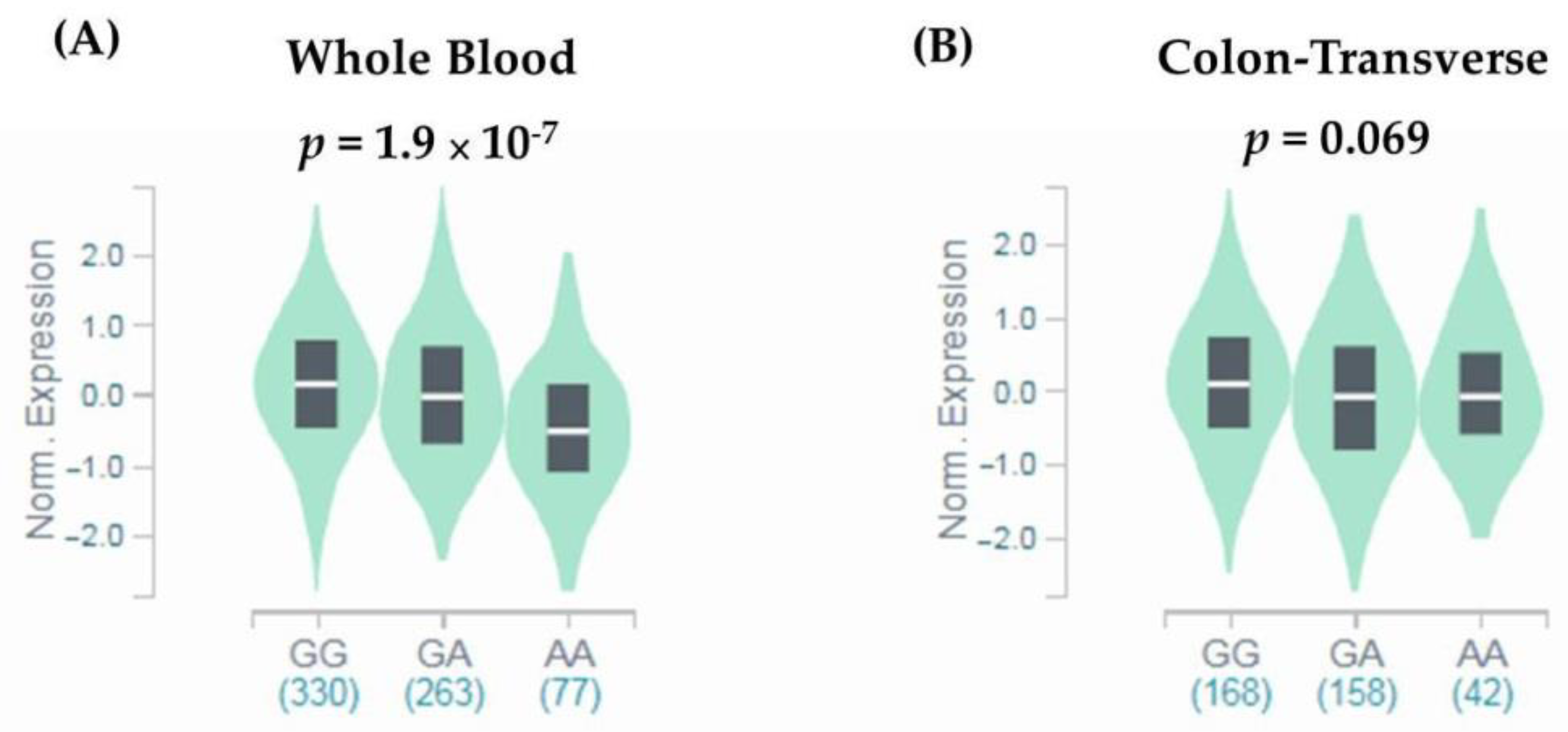 Diagnostics  Free Full-Text  Impact of FGFR4 Gene Polymorphism 