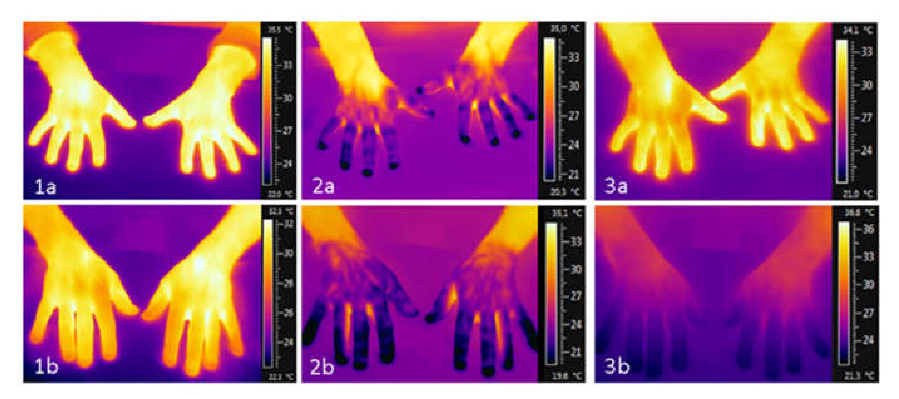 Diagnostics 11 00981 g001b