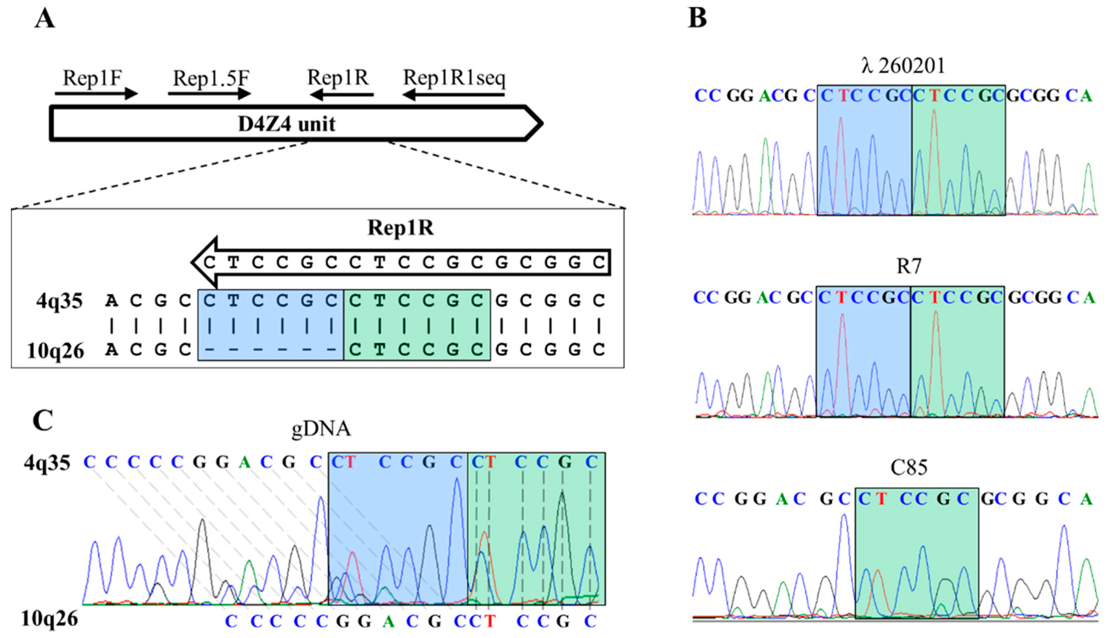 Diagnostics Free Full Text Fshd1 Diagnosis In A Russian Population Using A Qpcr Based Approach Html Diagnostics Free Full Text Fshd1 Diagnosis In A Russian Population Using A Qpcr Based Approach Html