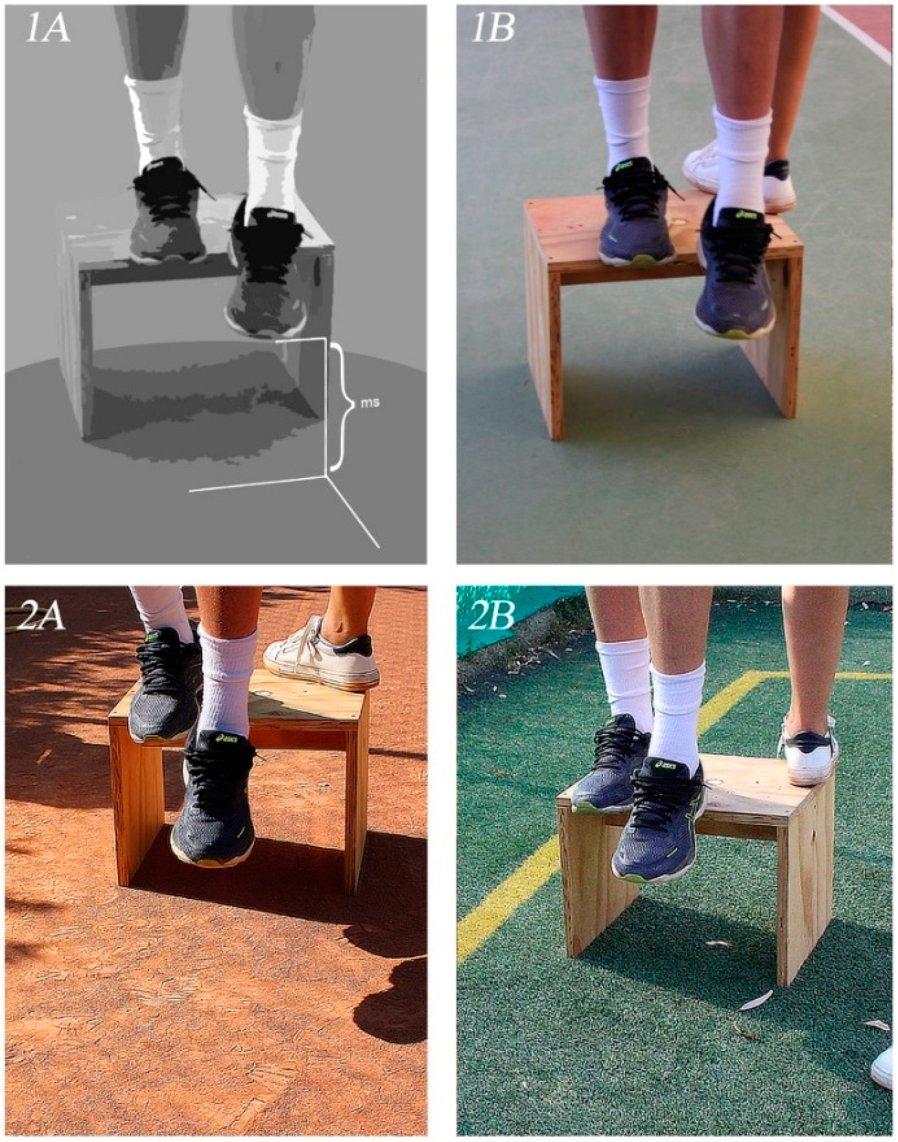 Diagnostics 11 00997 g002