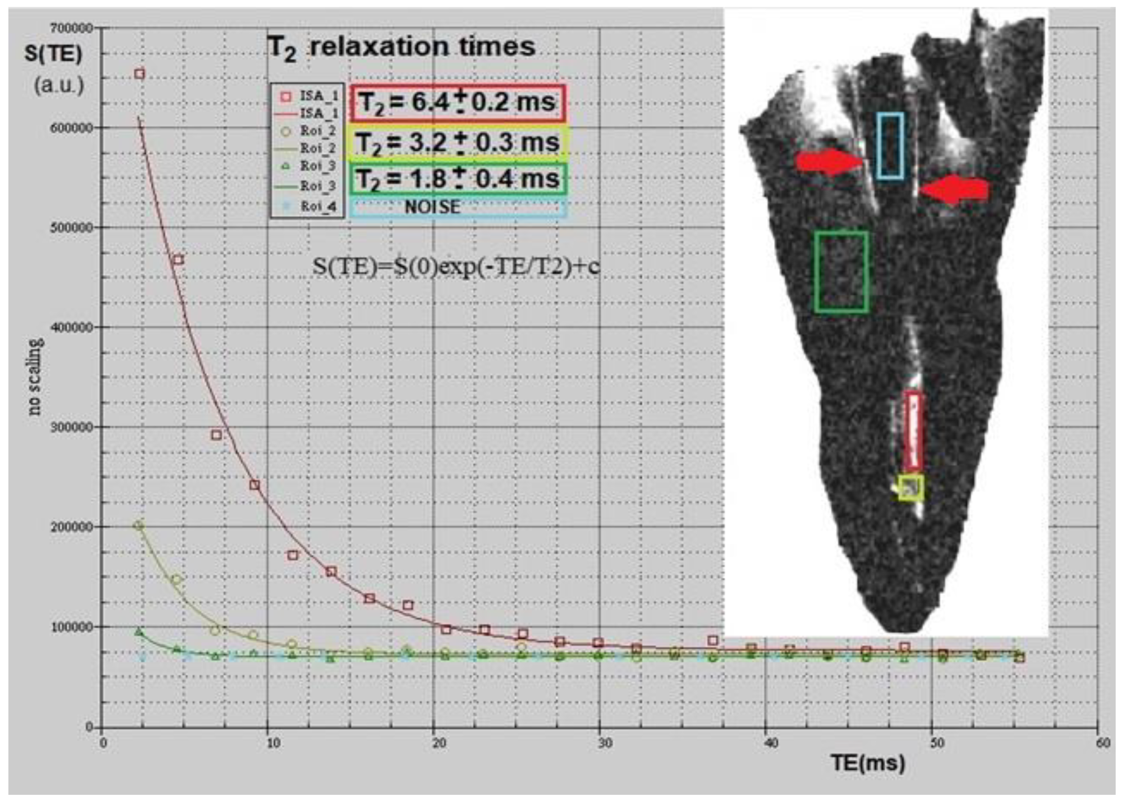 Diagnostics 11 01012 g002
