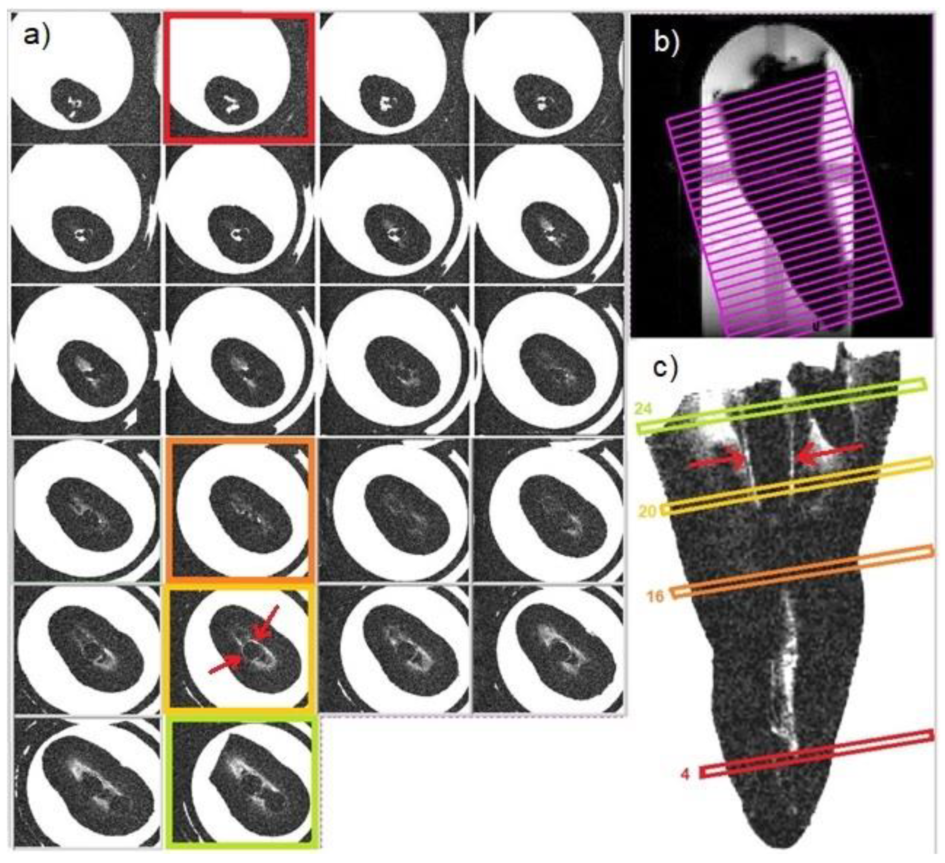 Diagnostics 11 01012 g003