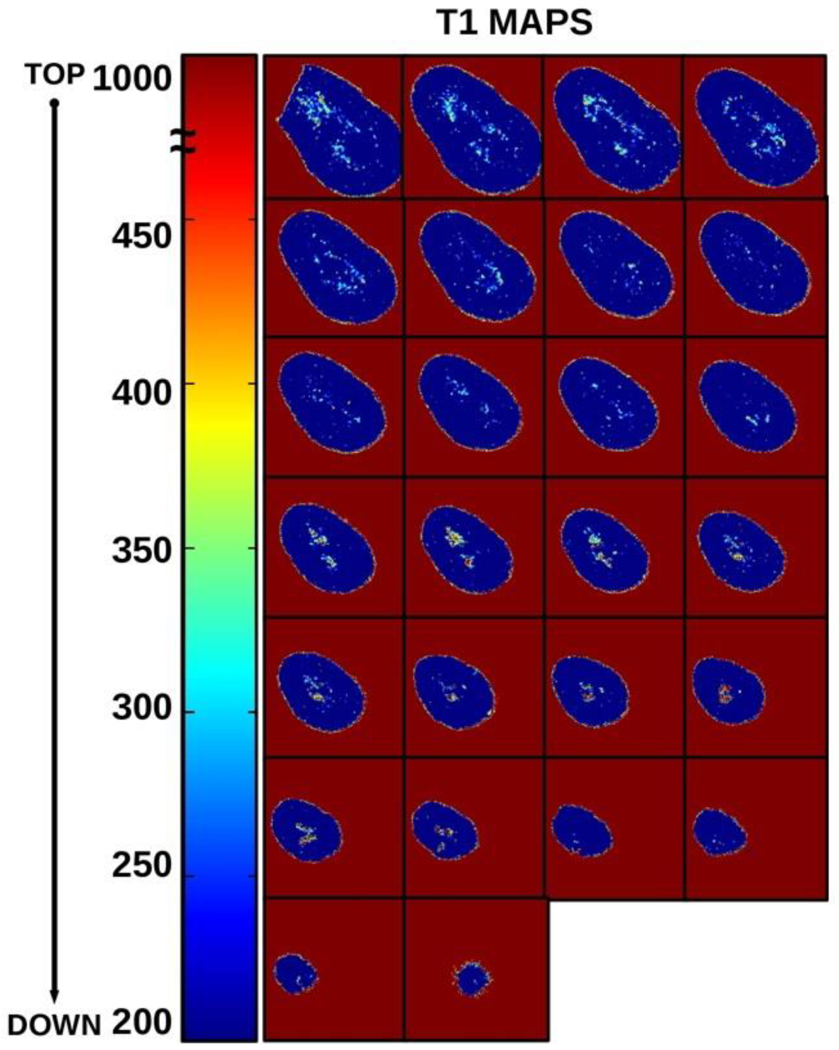 Diagnostics 11 01012 g005