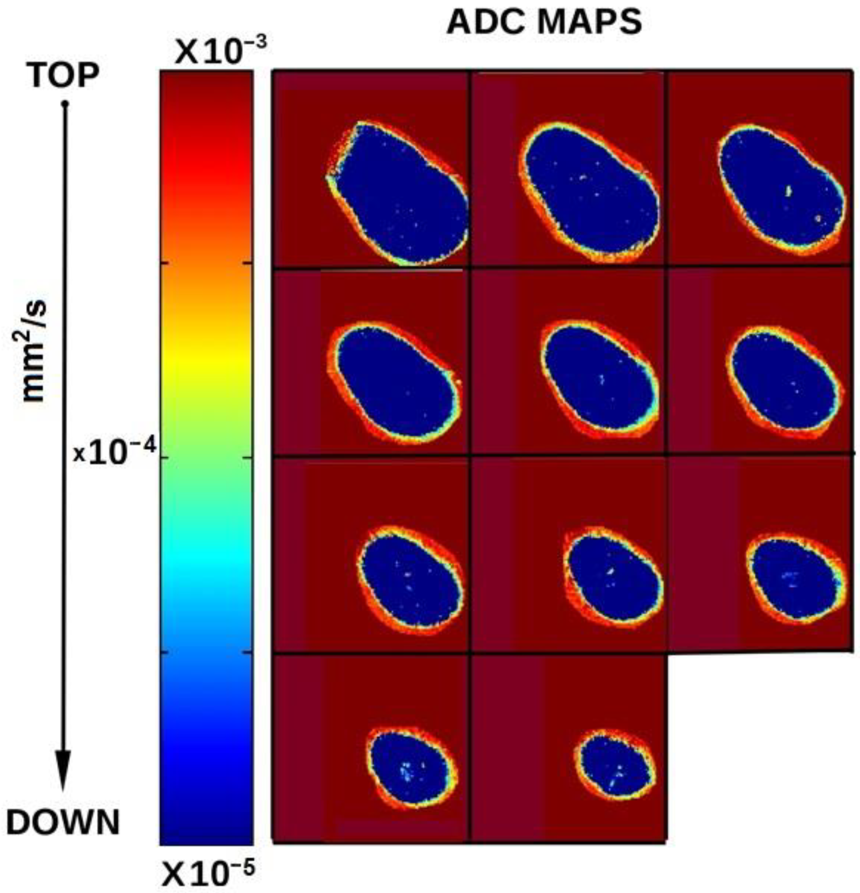 Diagnostics 11 01012 g008