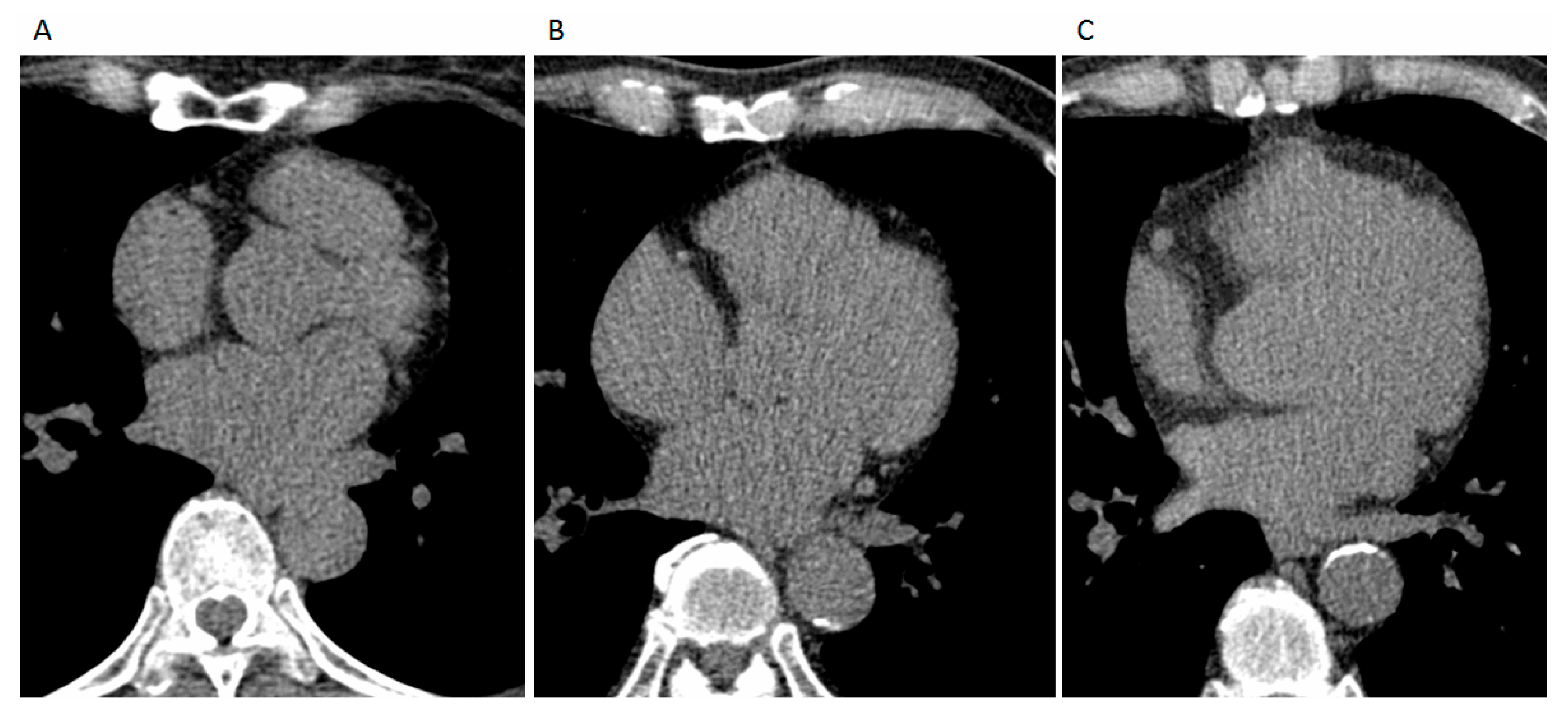 Diagnostics 11 01027 g001