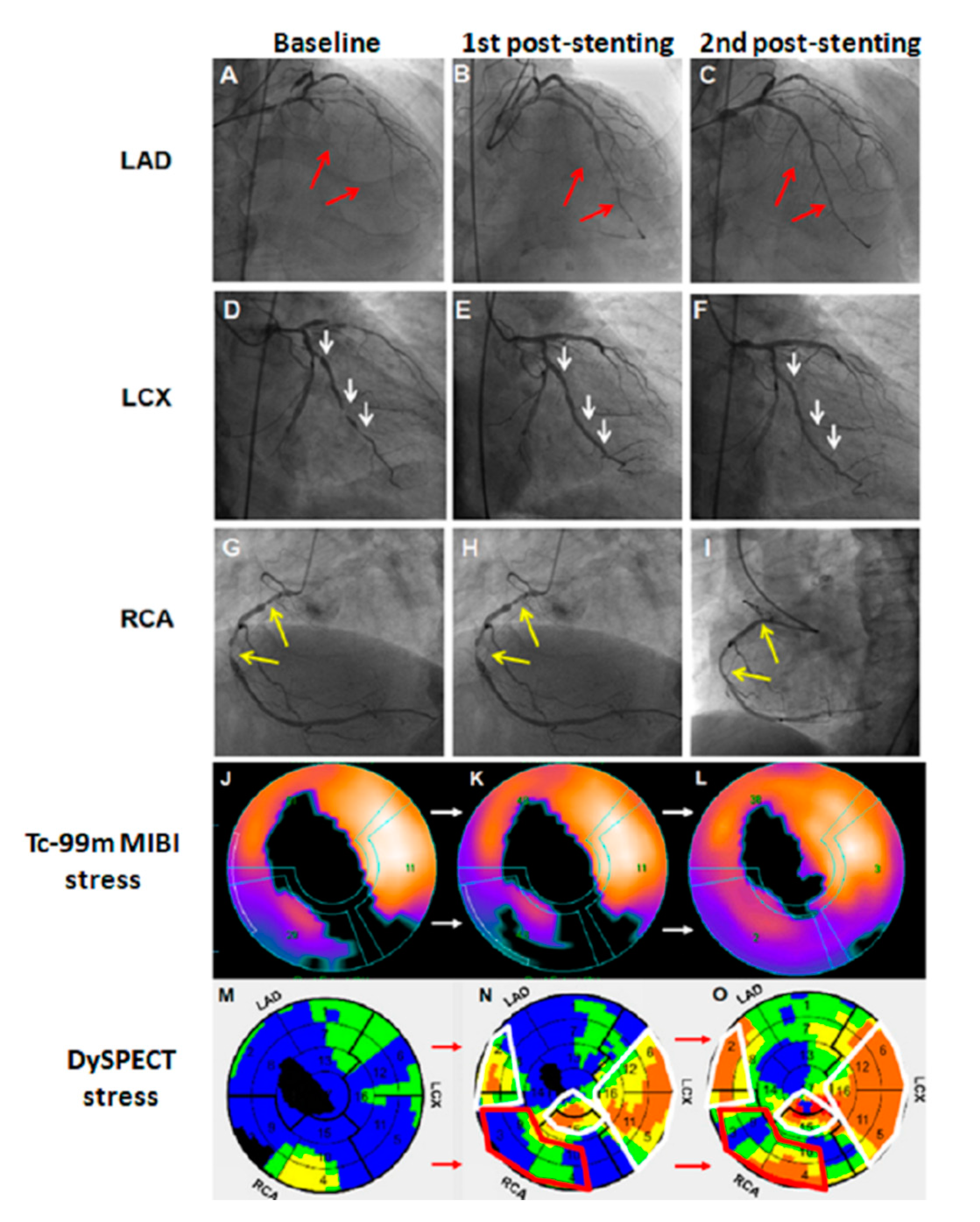Diagnostics 11 01028 g002