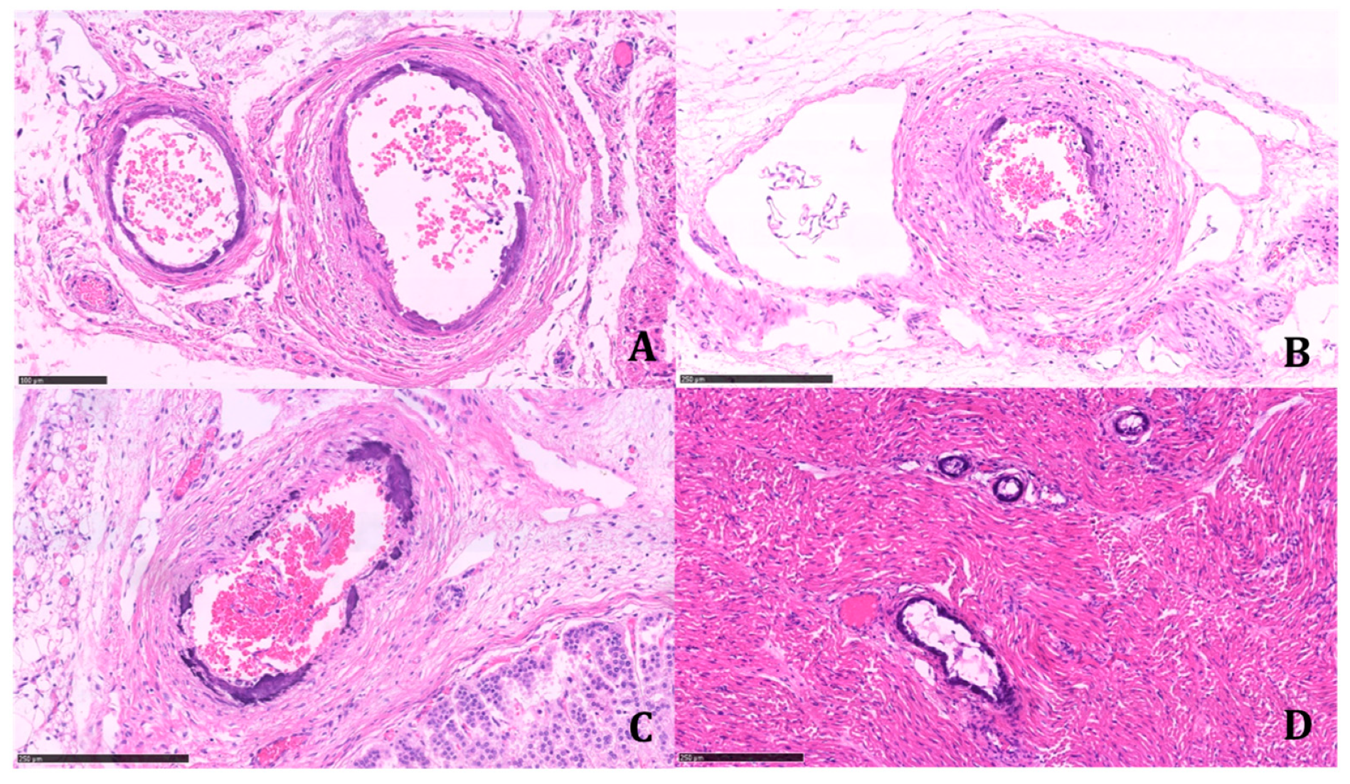Diagnostics 11 01034 g003