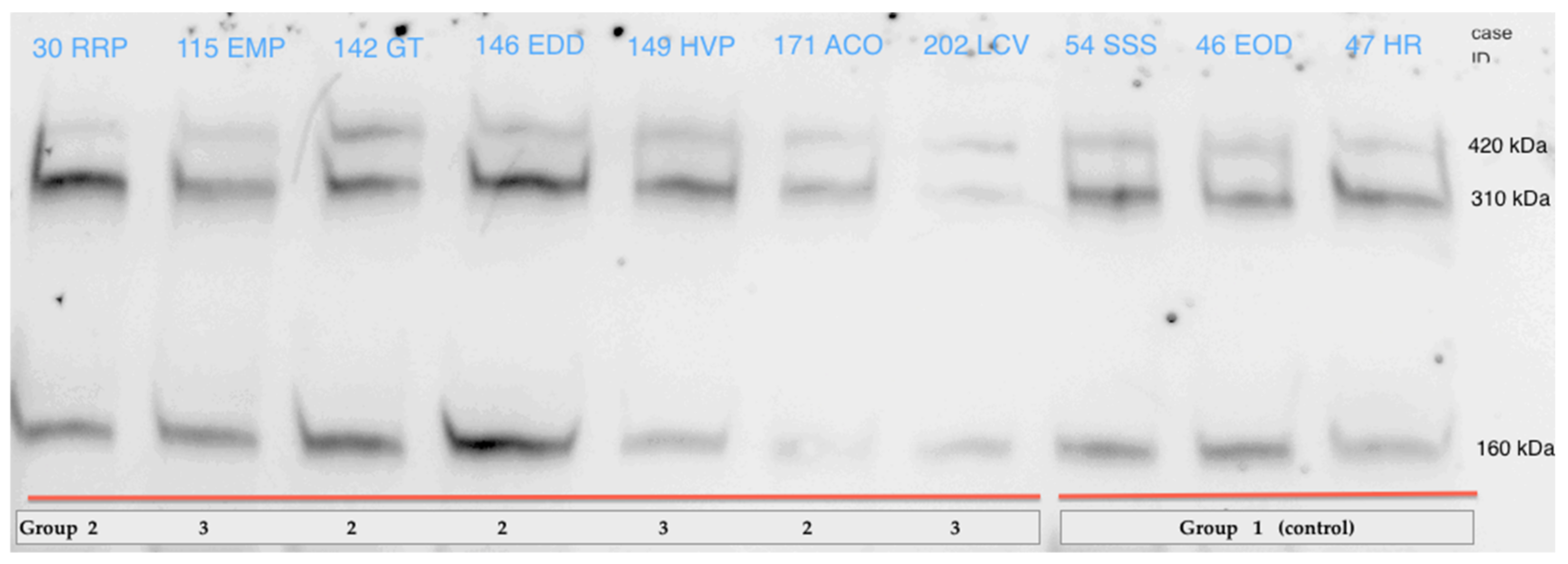 Diagnostics 11 01036 g004 Diagnostics 11 01036 g004