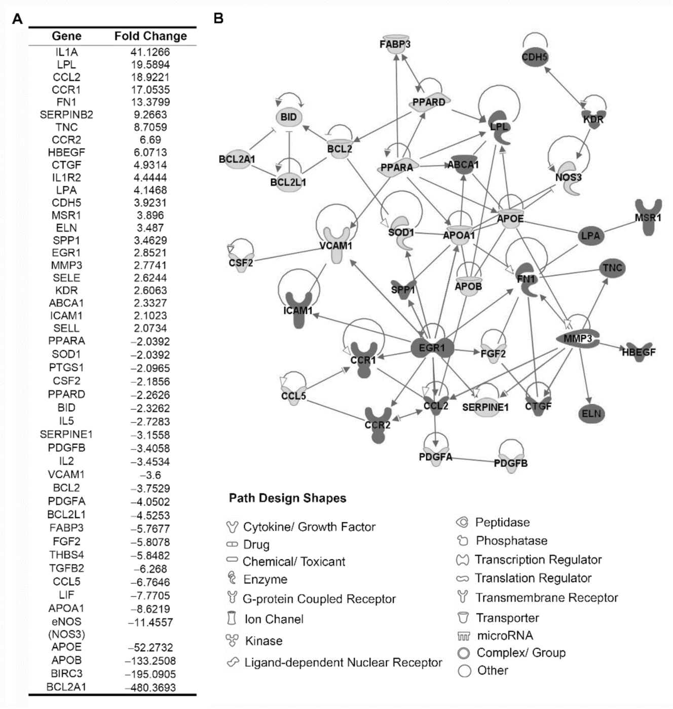 Diagnostics 11 01037 g001