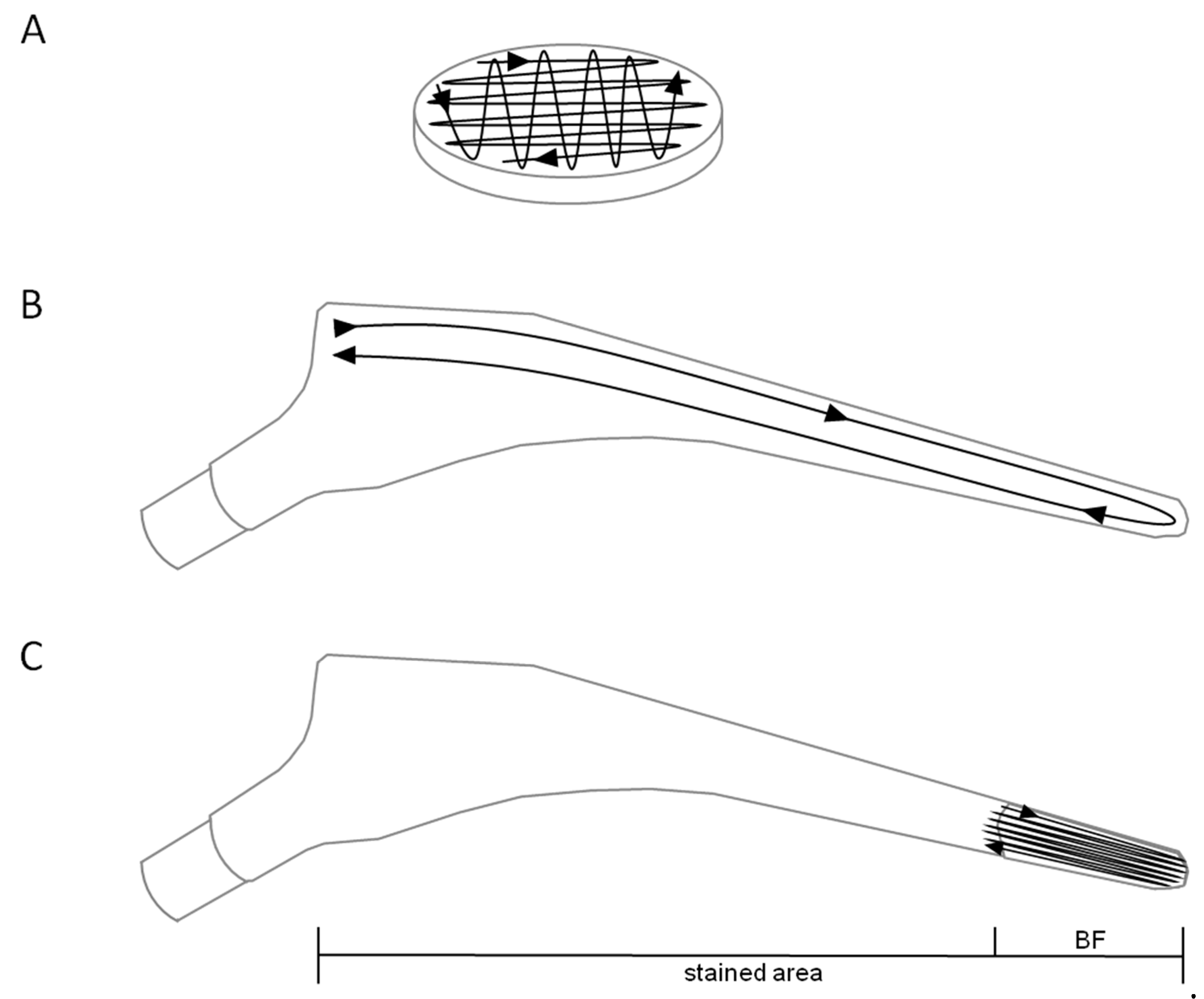Diagnostics 11 01038 g001