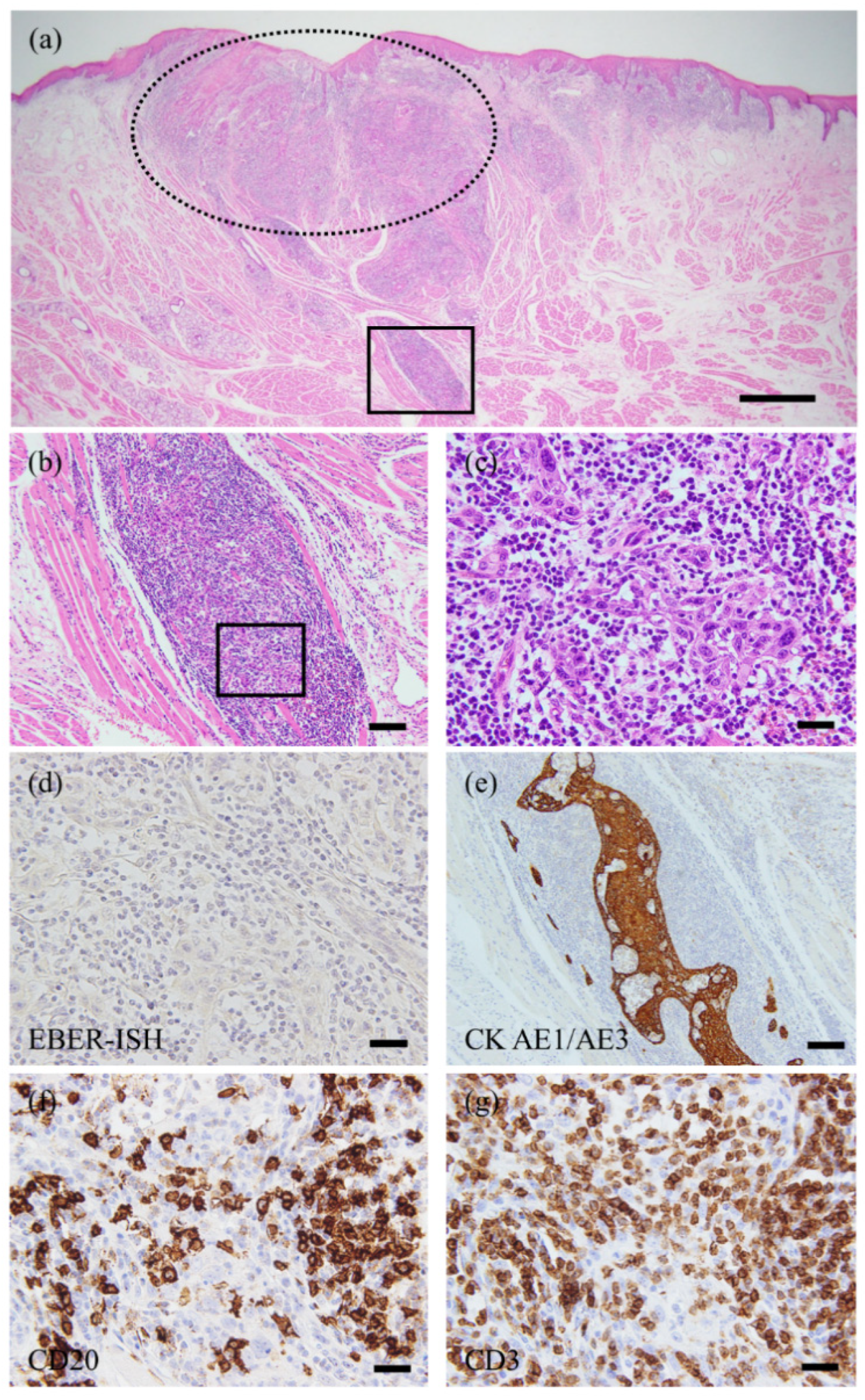 Diagnostics 11 01039 g002