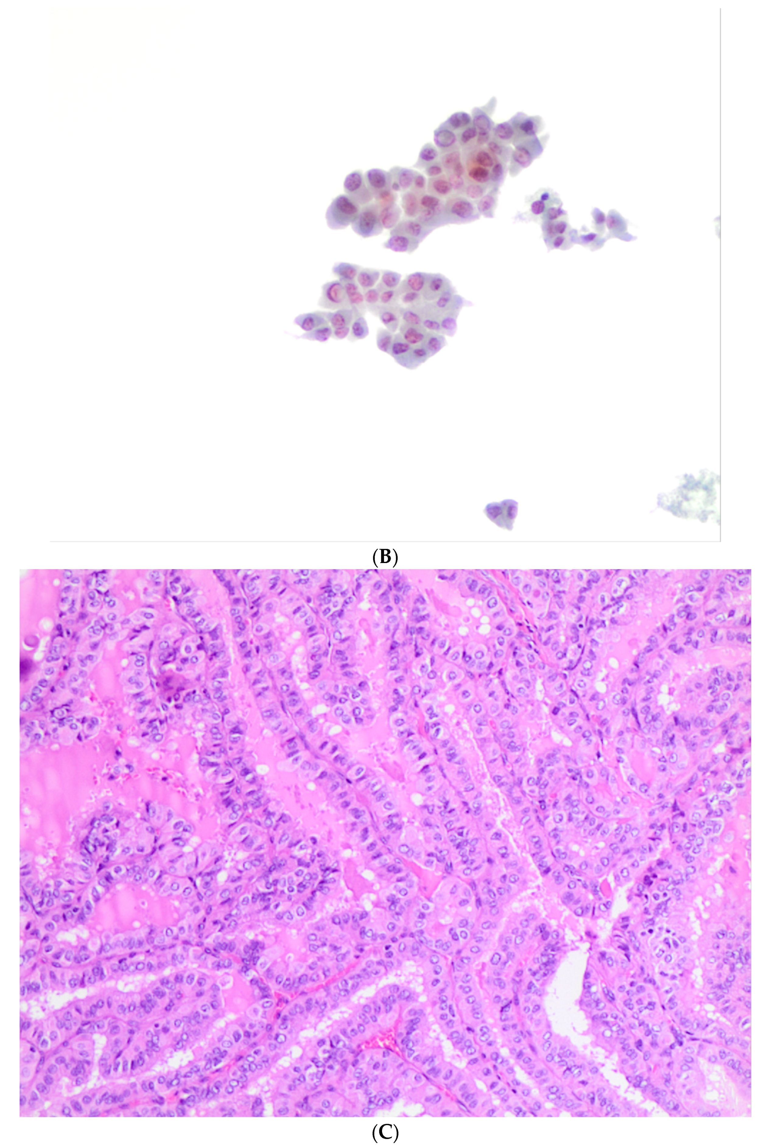 Diagnostics 11 01043 g002b Diagnostics 11 01043 g002b