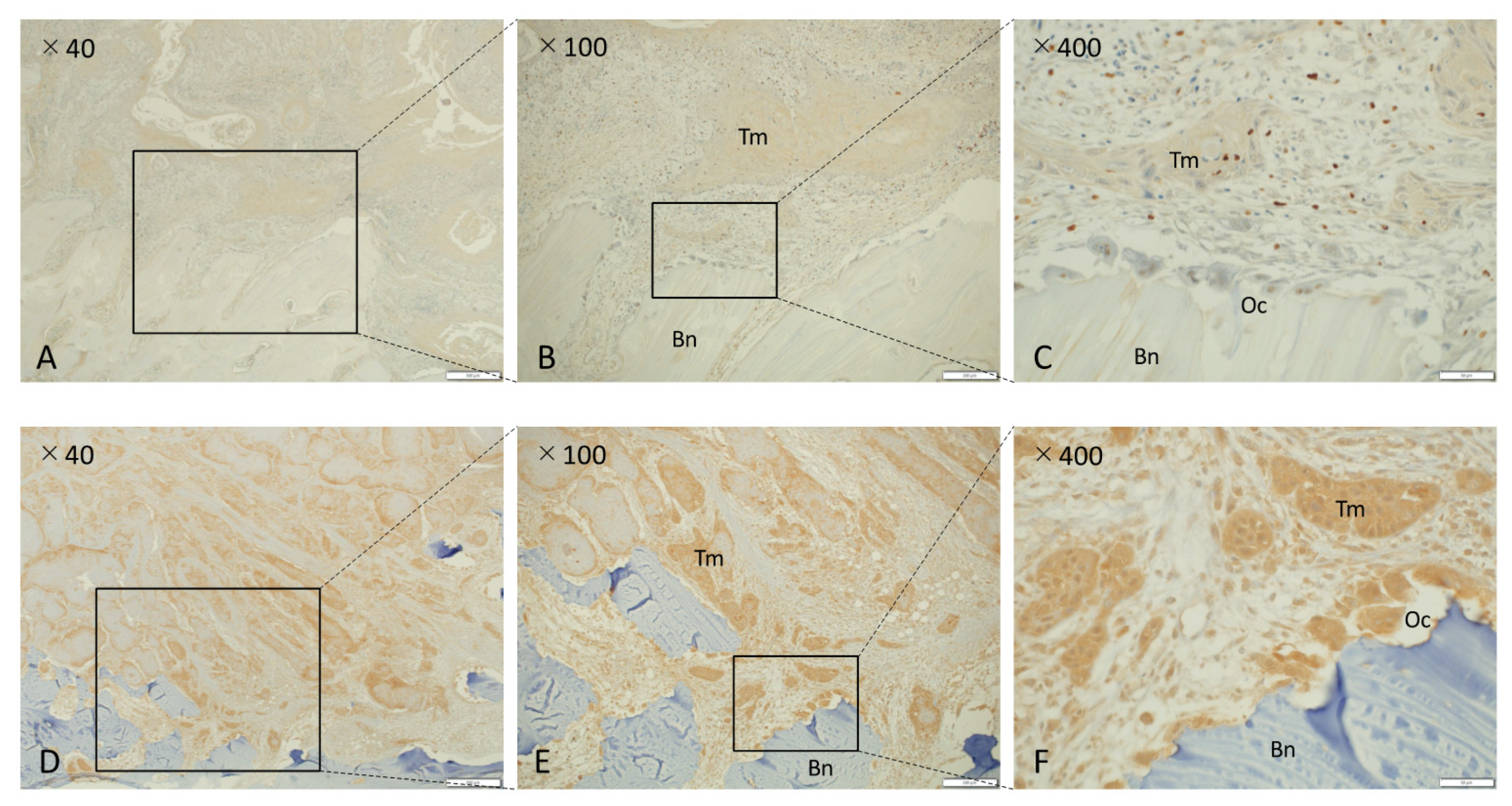 Diagnostics 11 01044 g001 Diagnostics 11 01044 g001