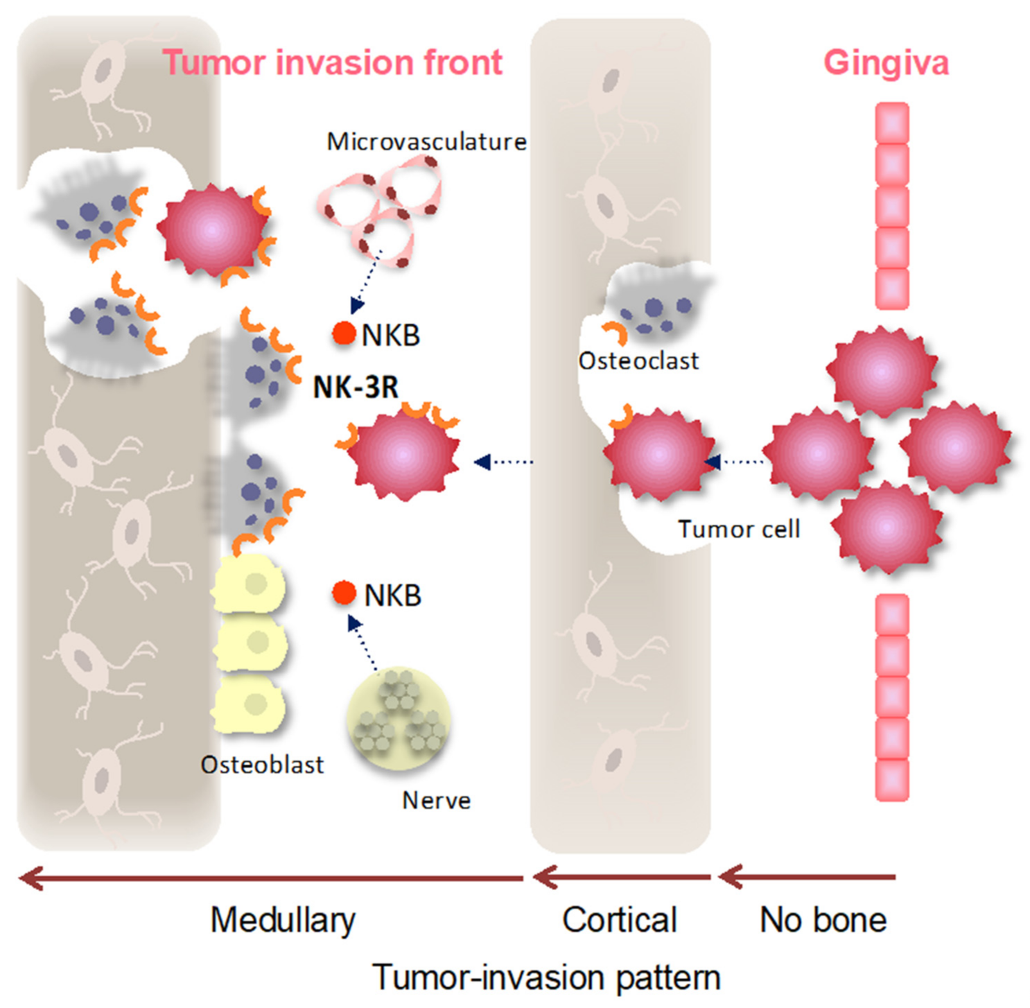 Diagnostics 11 01044 g005 Diagnostics 11 01044 g005