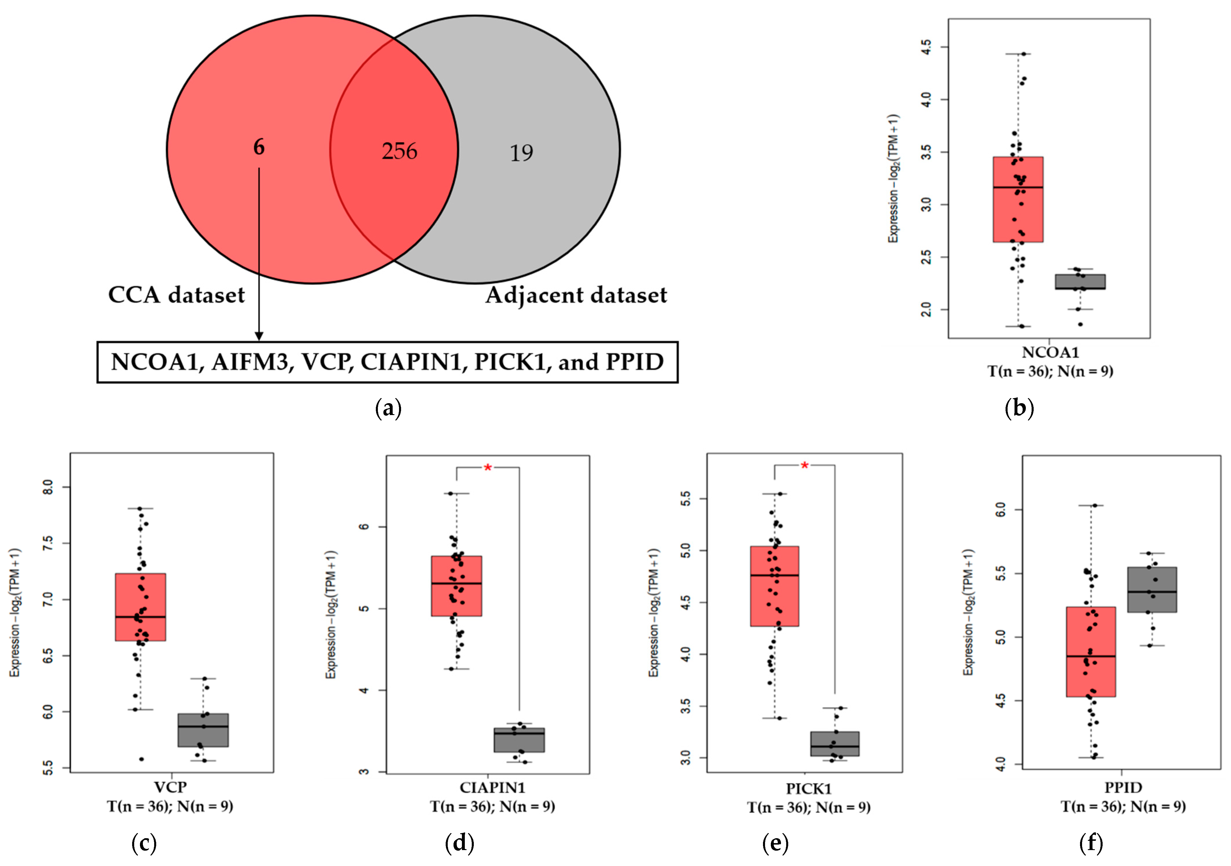 Diagnostics 11 01054 g001 Diagnostics 11 01054 g001