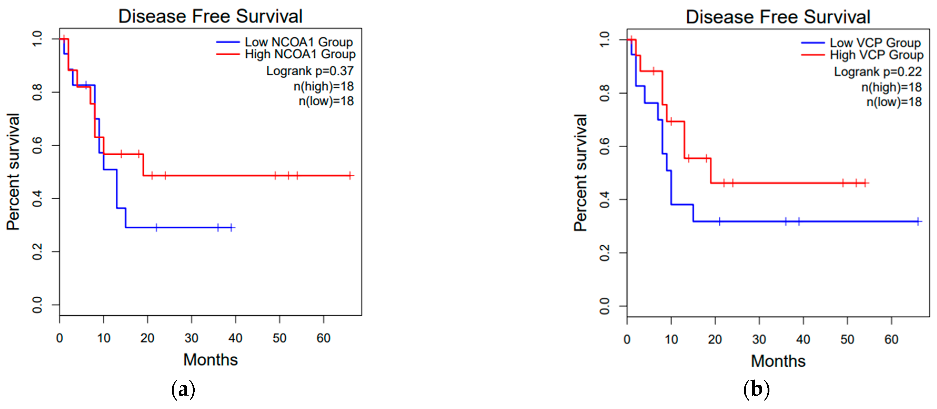 Diagnostics 11 01054 g002a Diagnostics 11 01054 g002a