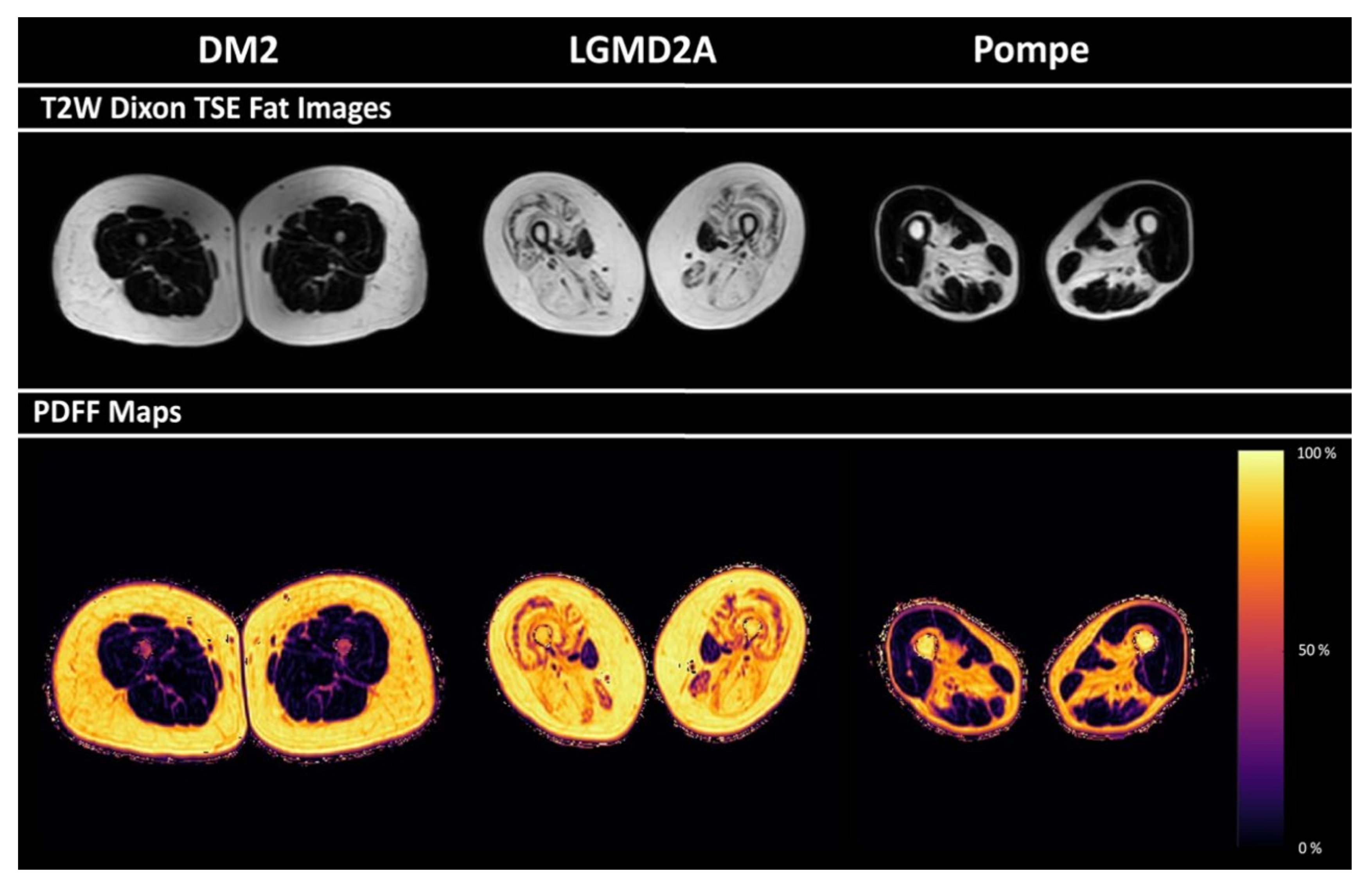 Diagnostics 11 01056 g002 Diagnostics 11 01056 g002
