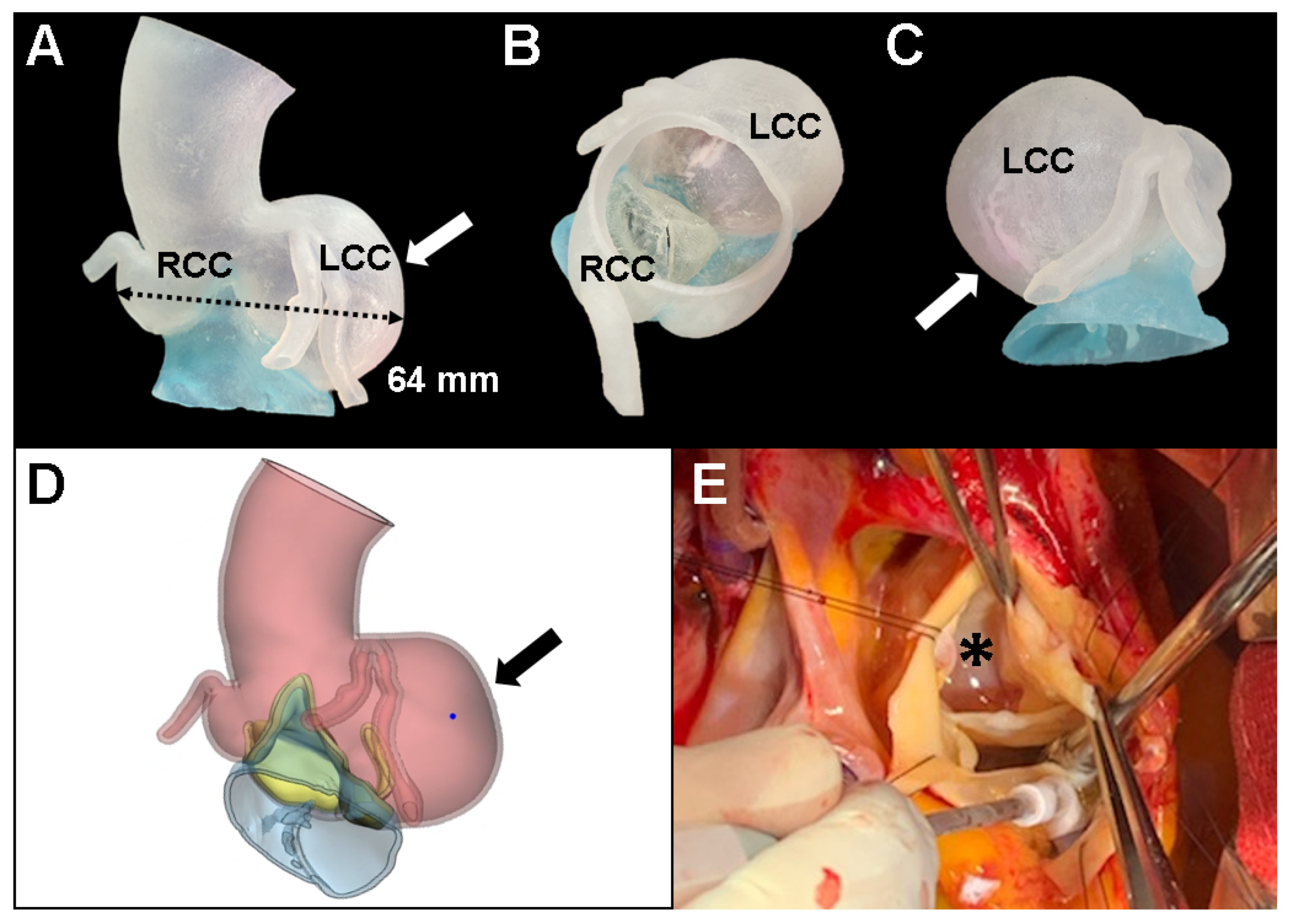 Diagnostics 11 01057 g002 Diagnostics 11 01057 g002