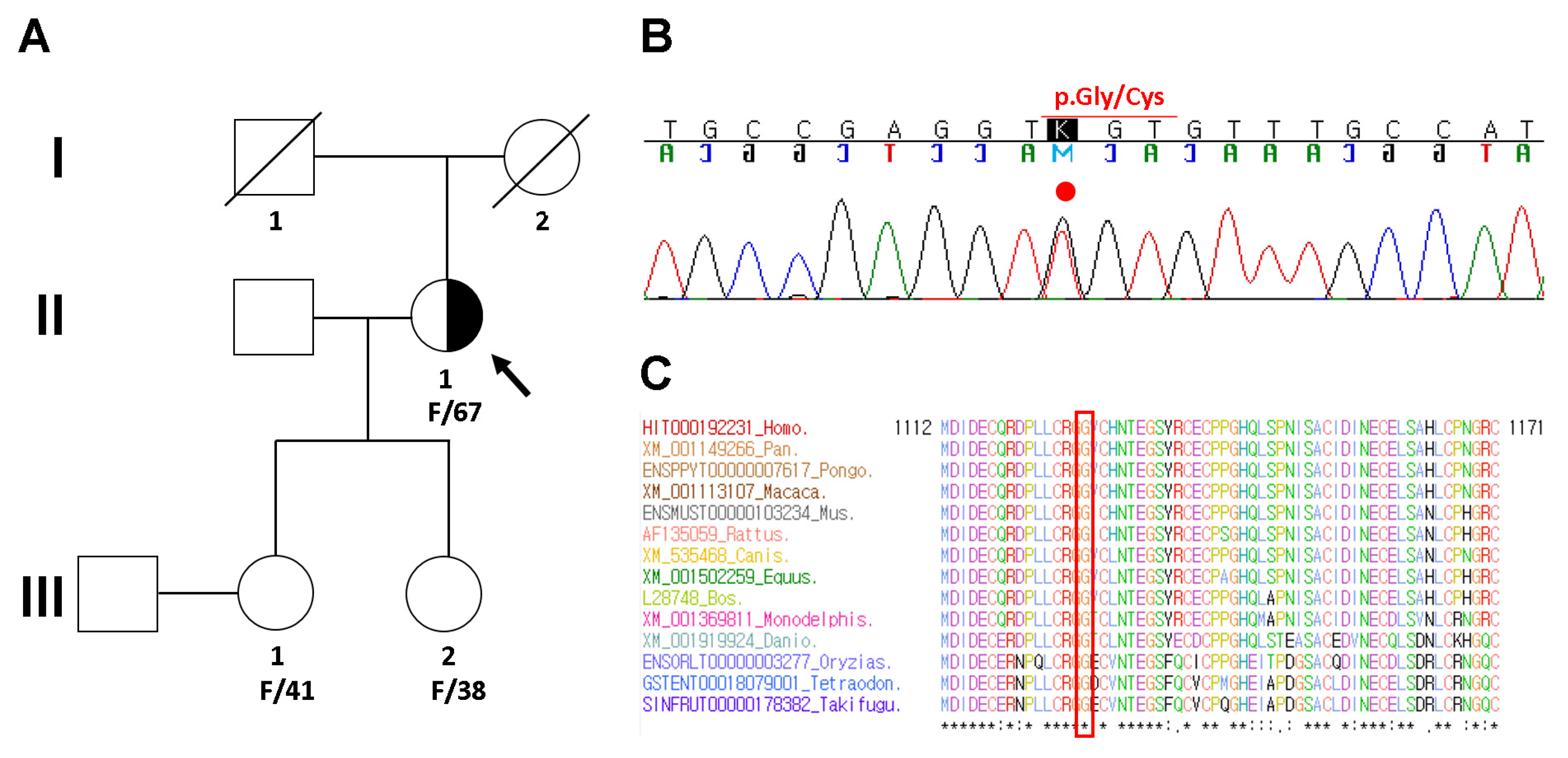 Diagnostics 11 01057 g003 Diagnostics 11 01057 g003