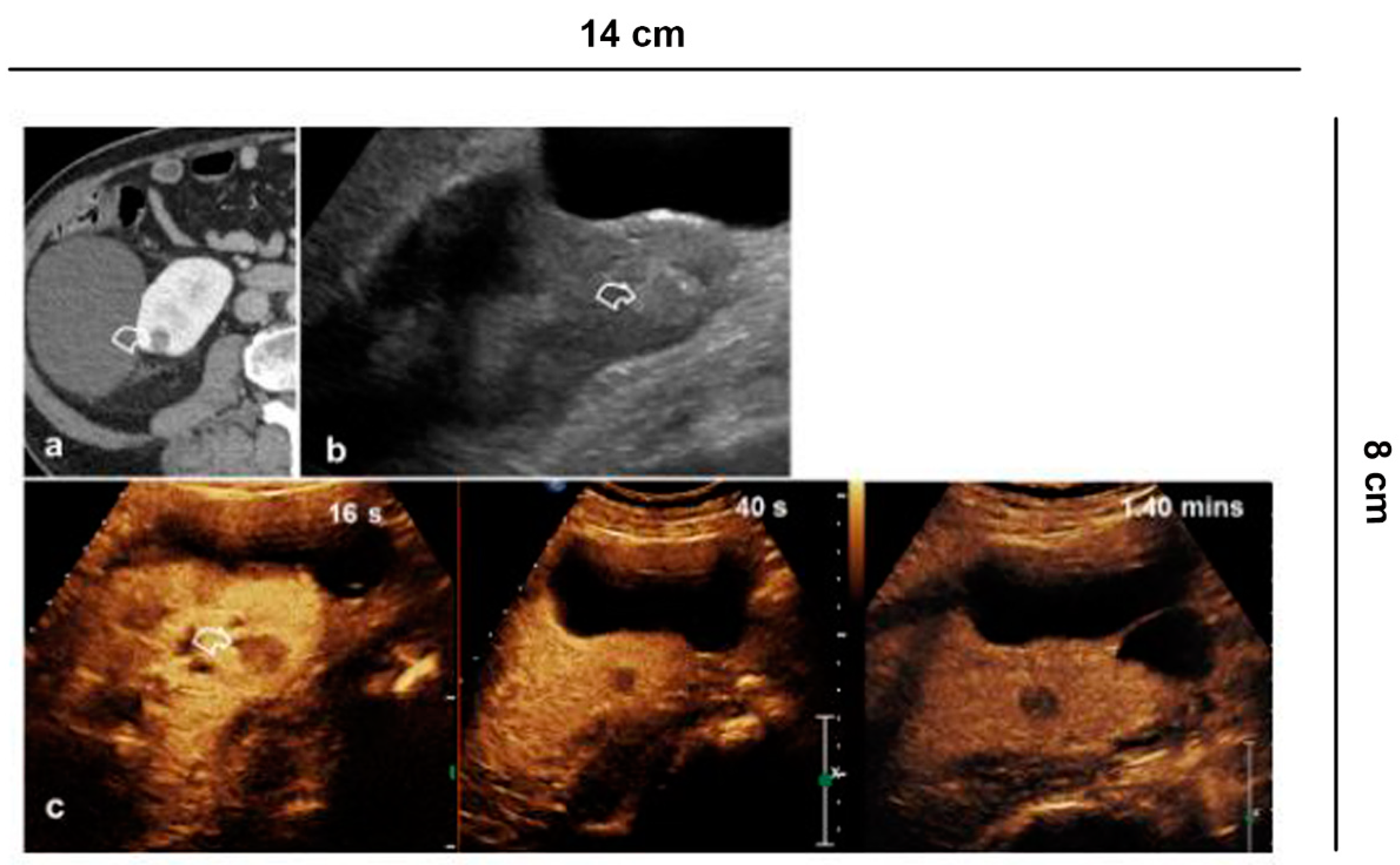 Diagnostics 11 01058 g003