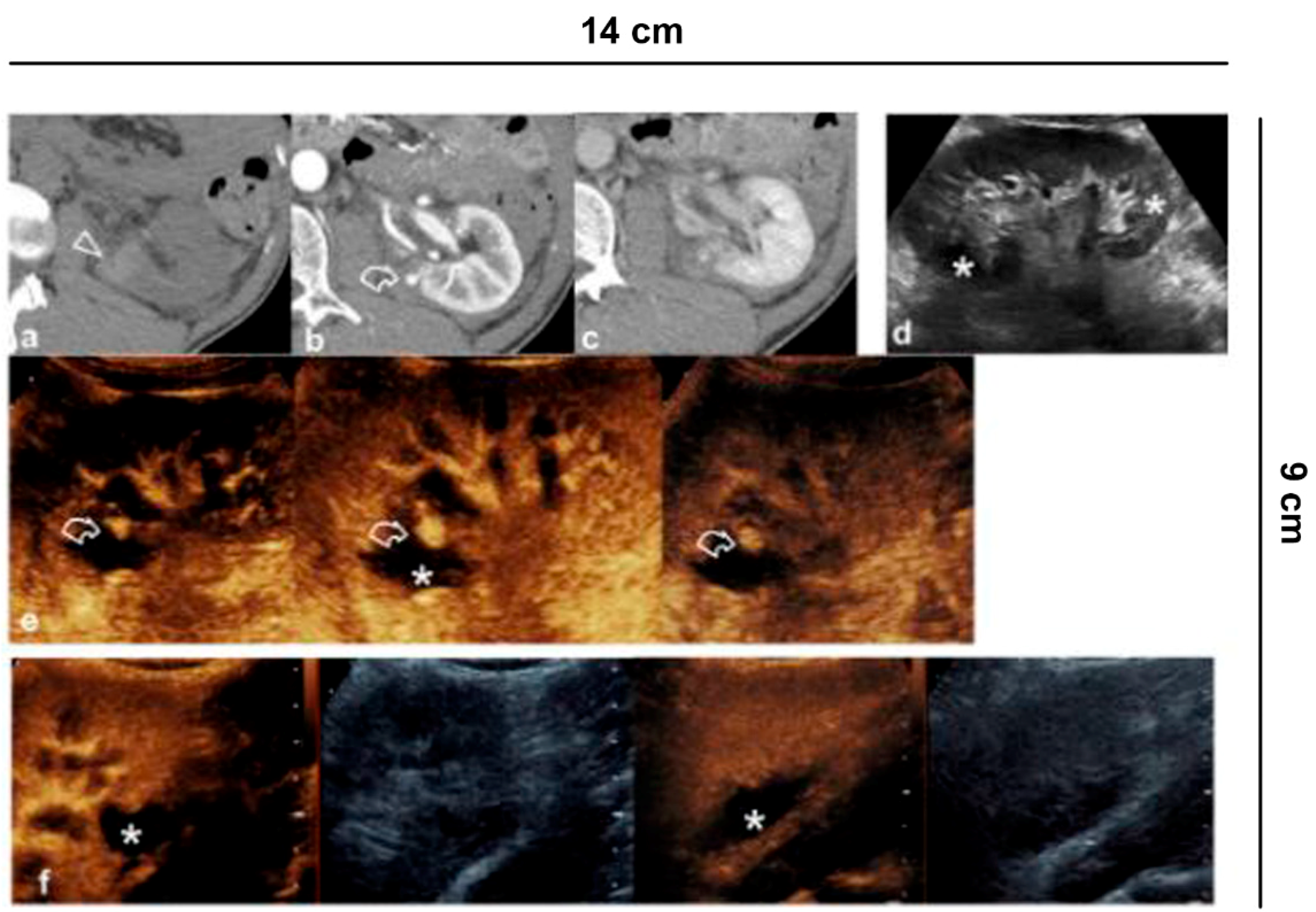 Diagnostics 11 01058 g009