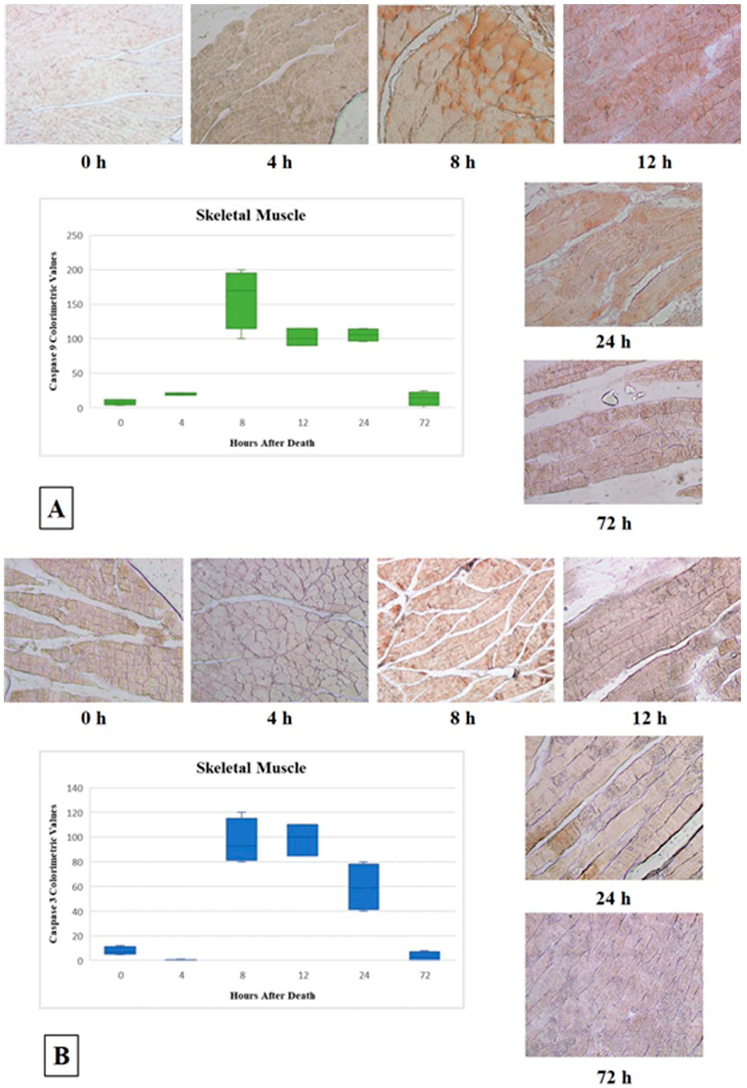 Diagnostics 11 01062 g001
