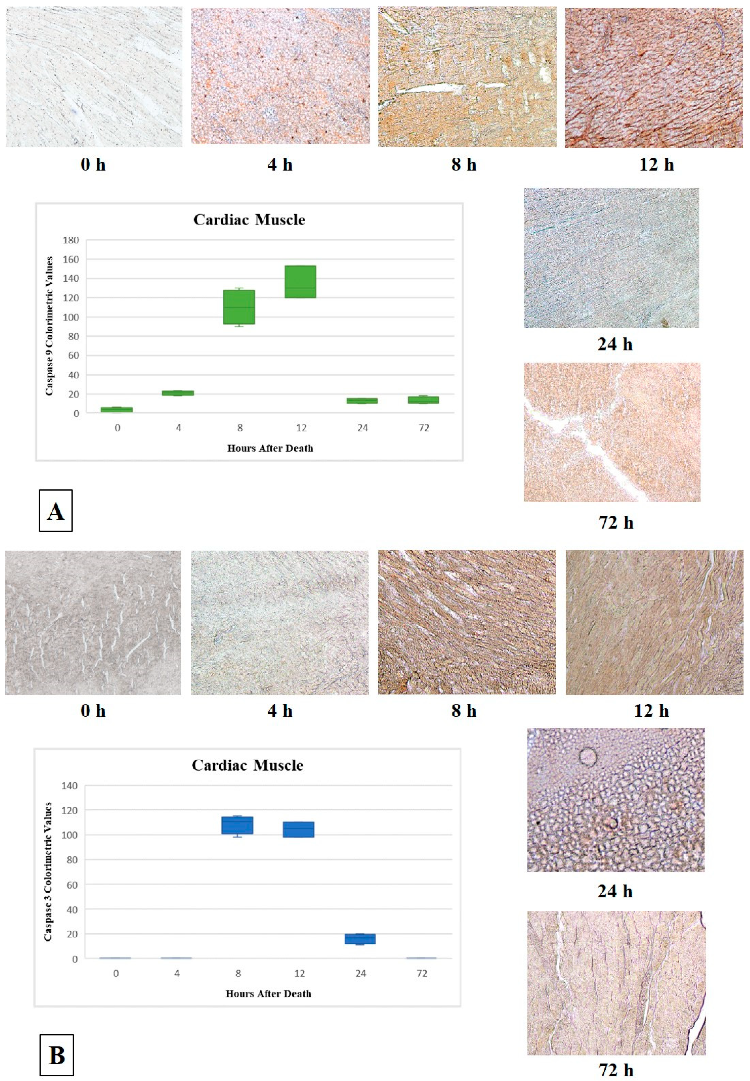 Diagnostics 11 01062 g003