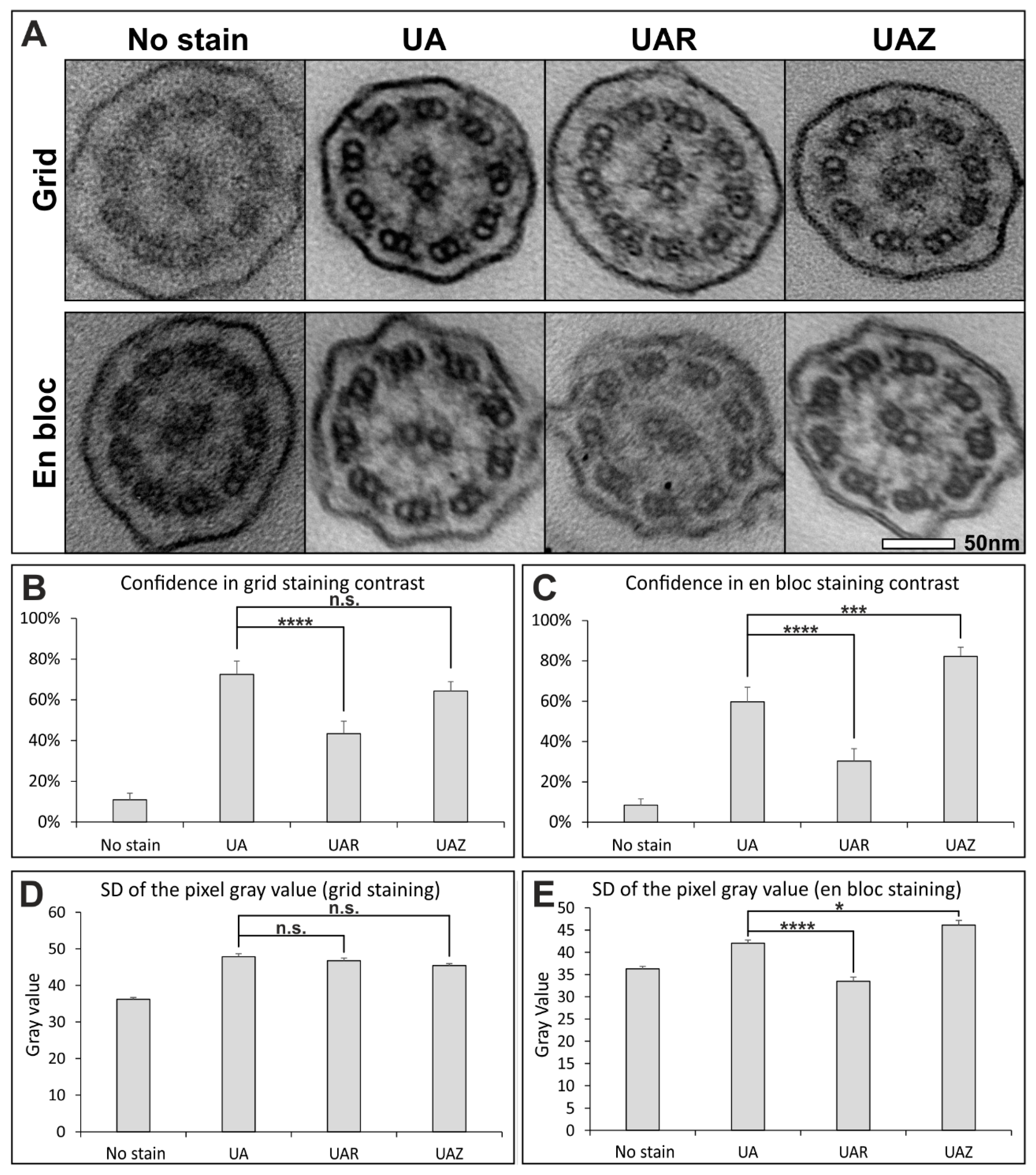Diagnostics 11 01063 g001 Diagnostics 11 01063 g001
