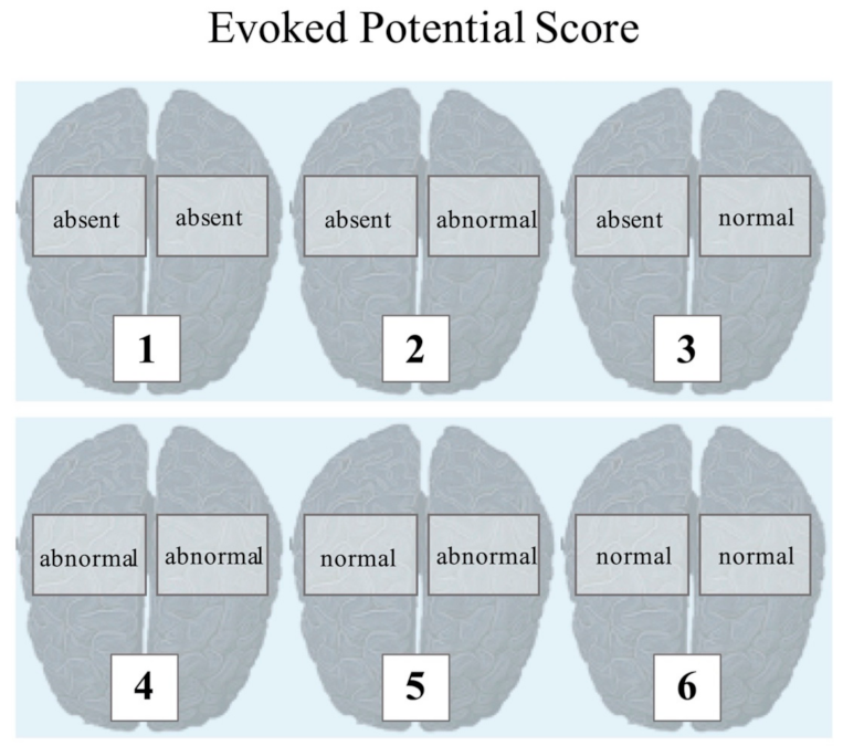 Diagnostics 11 01075 g001
