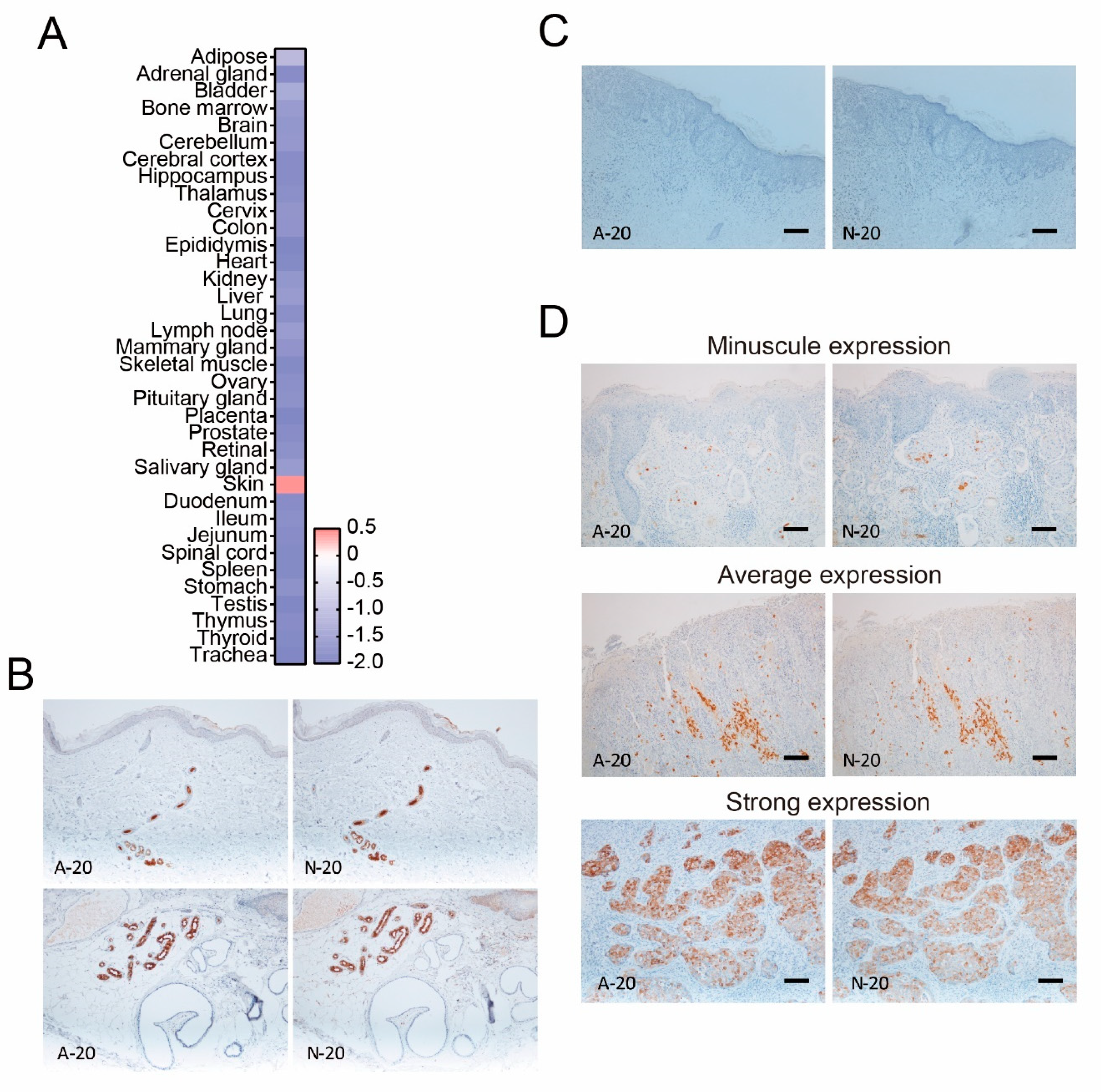Diagnostics 11 01086 g001