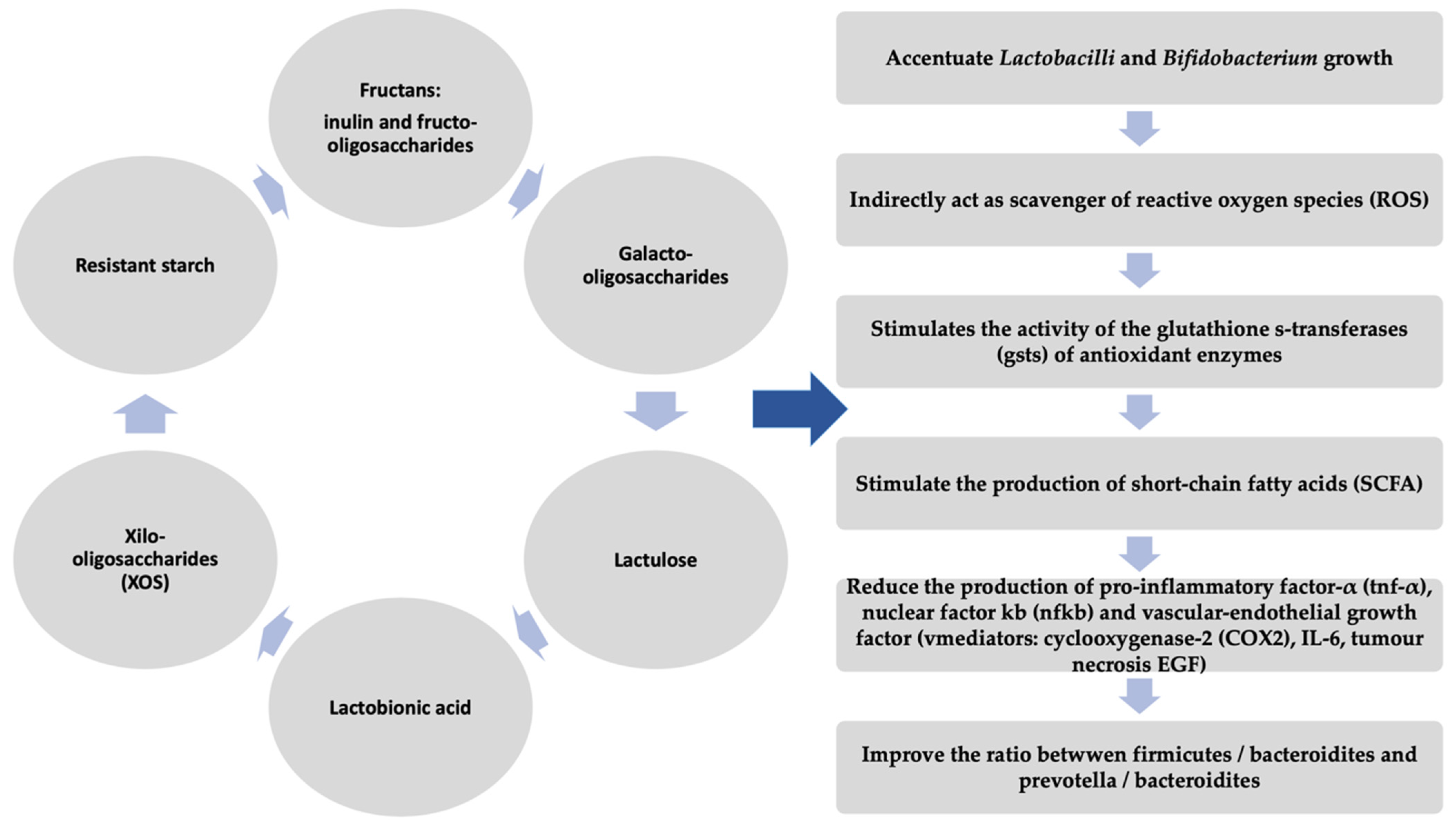Diagnostics 11 01090 g003 Diagnostics 11 01090 g003